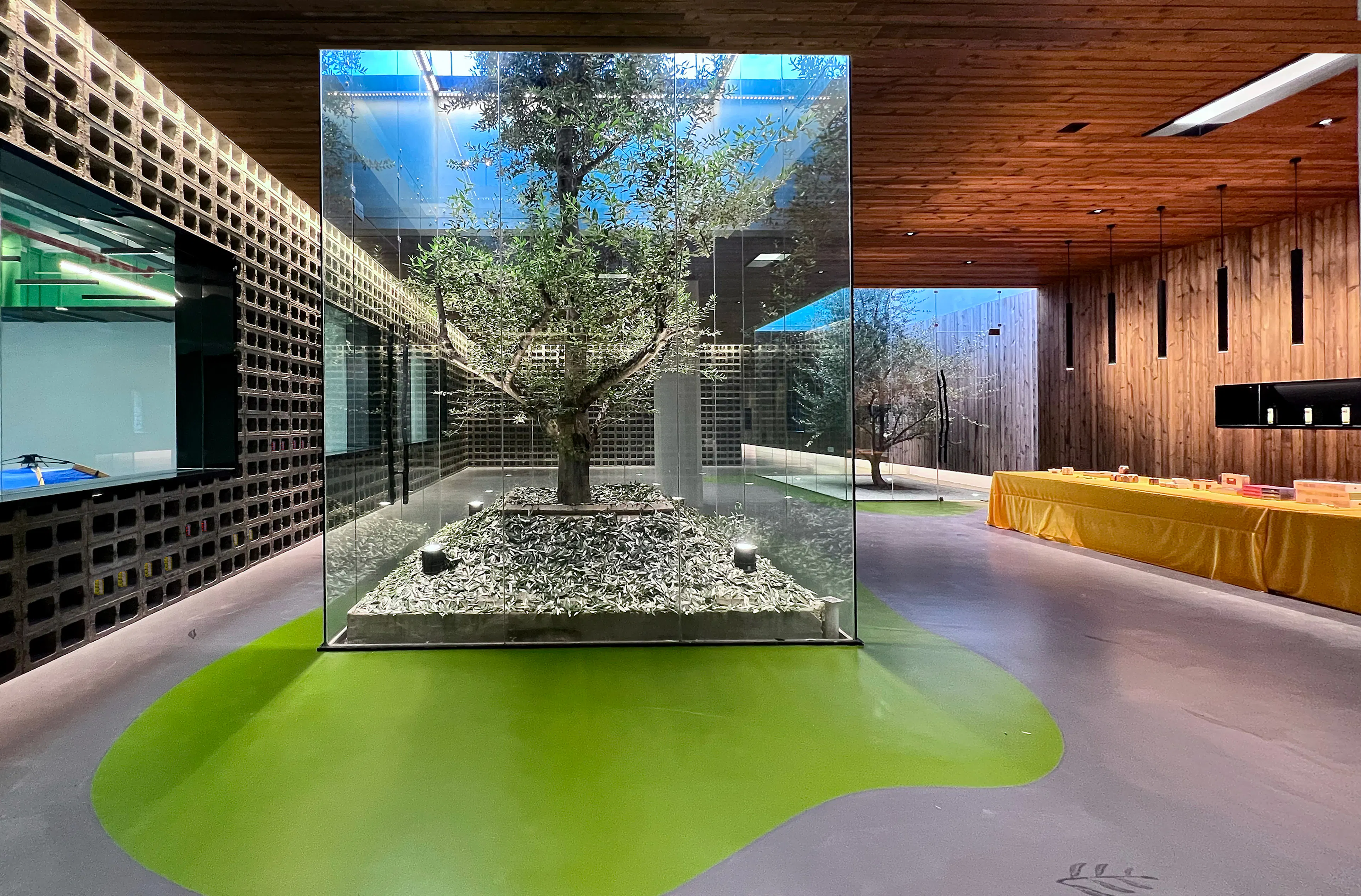 Lijiang olive oil factory - a journey between the form and formless — 4