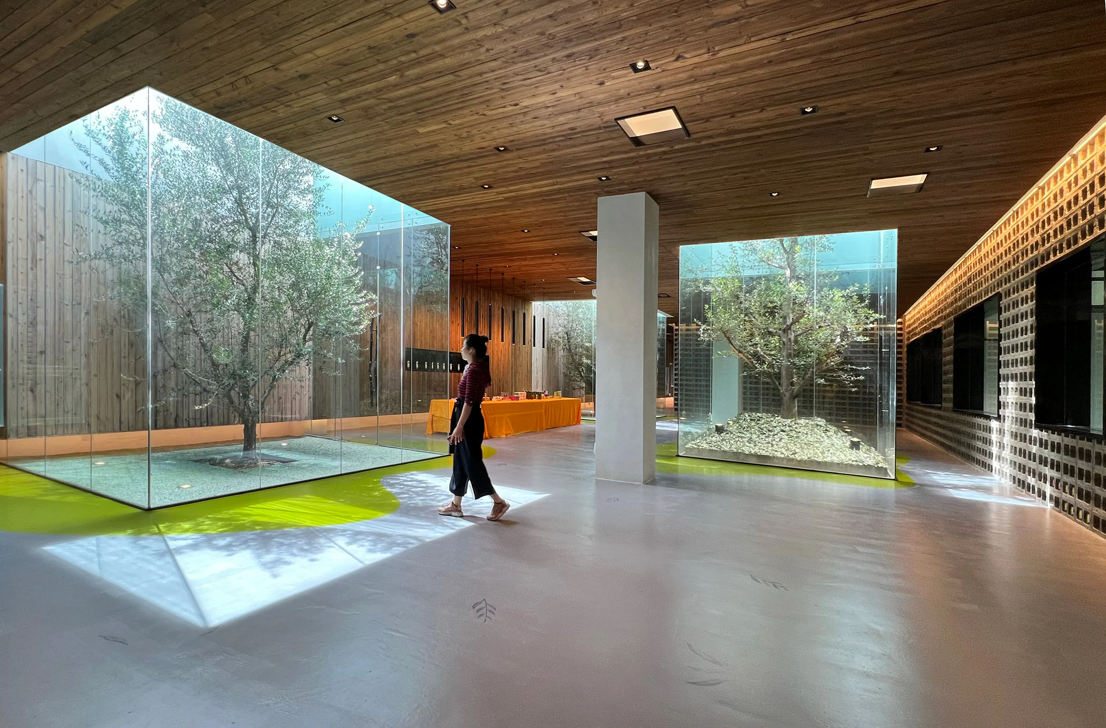 Lijiang olive oil factory - a journey between the form and formless — 5