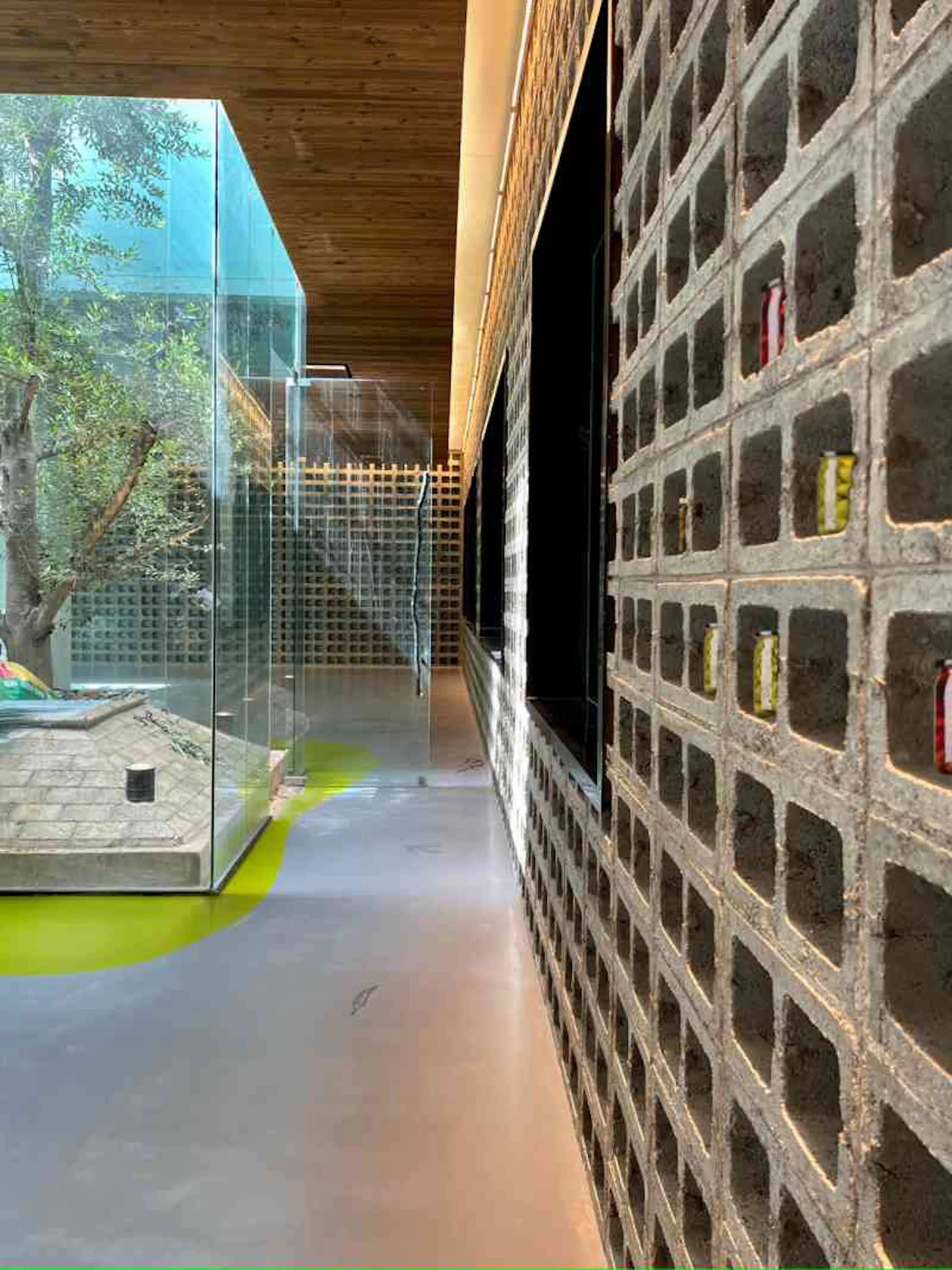 Lijiang olive oil factory - a journey between the form and formless — 6