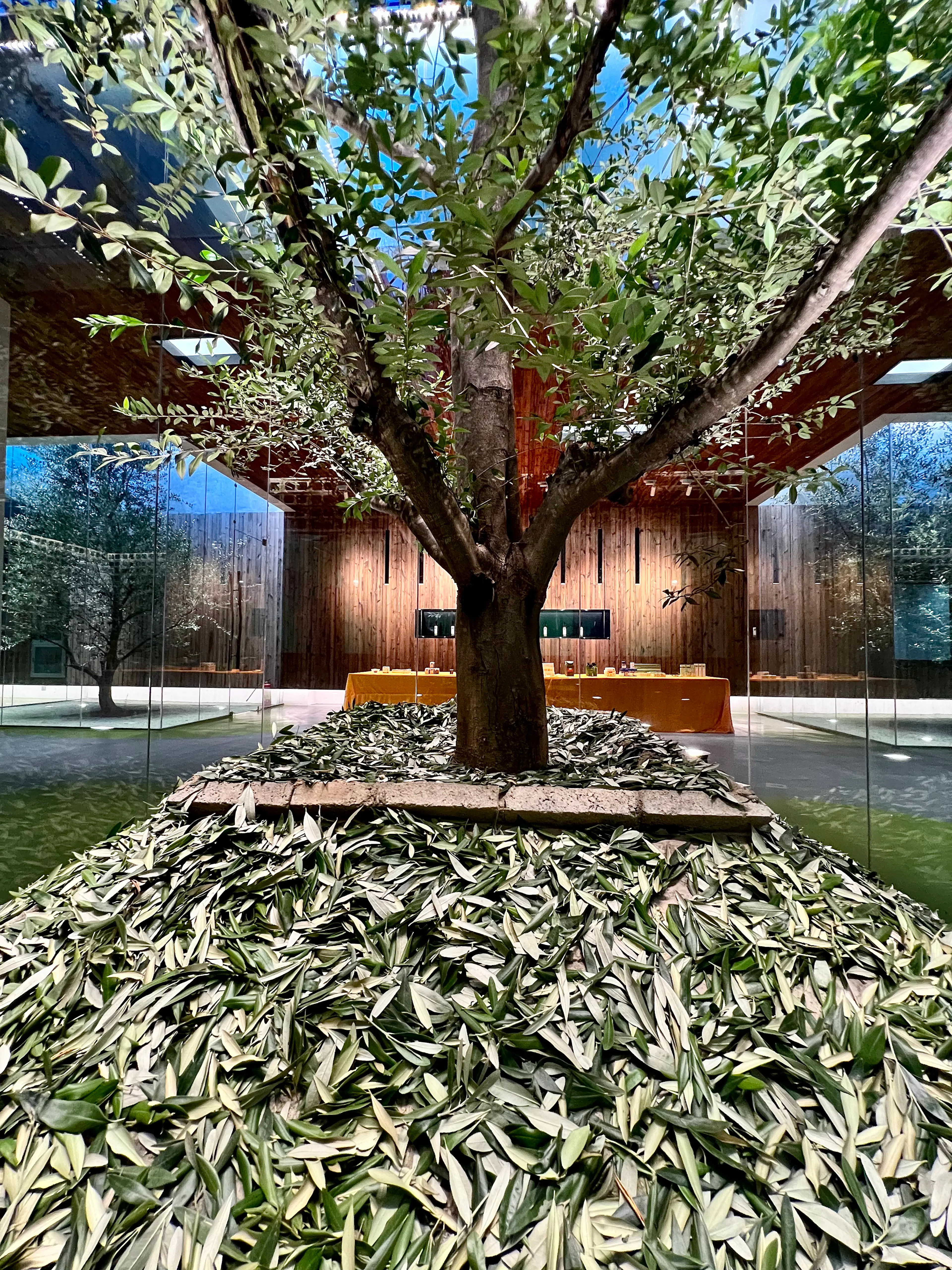 Lijiang olive oil factory - a journey between the form and formless — 7