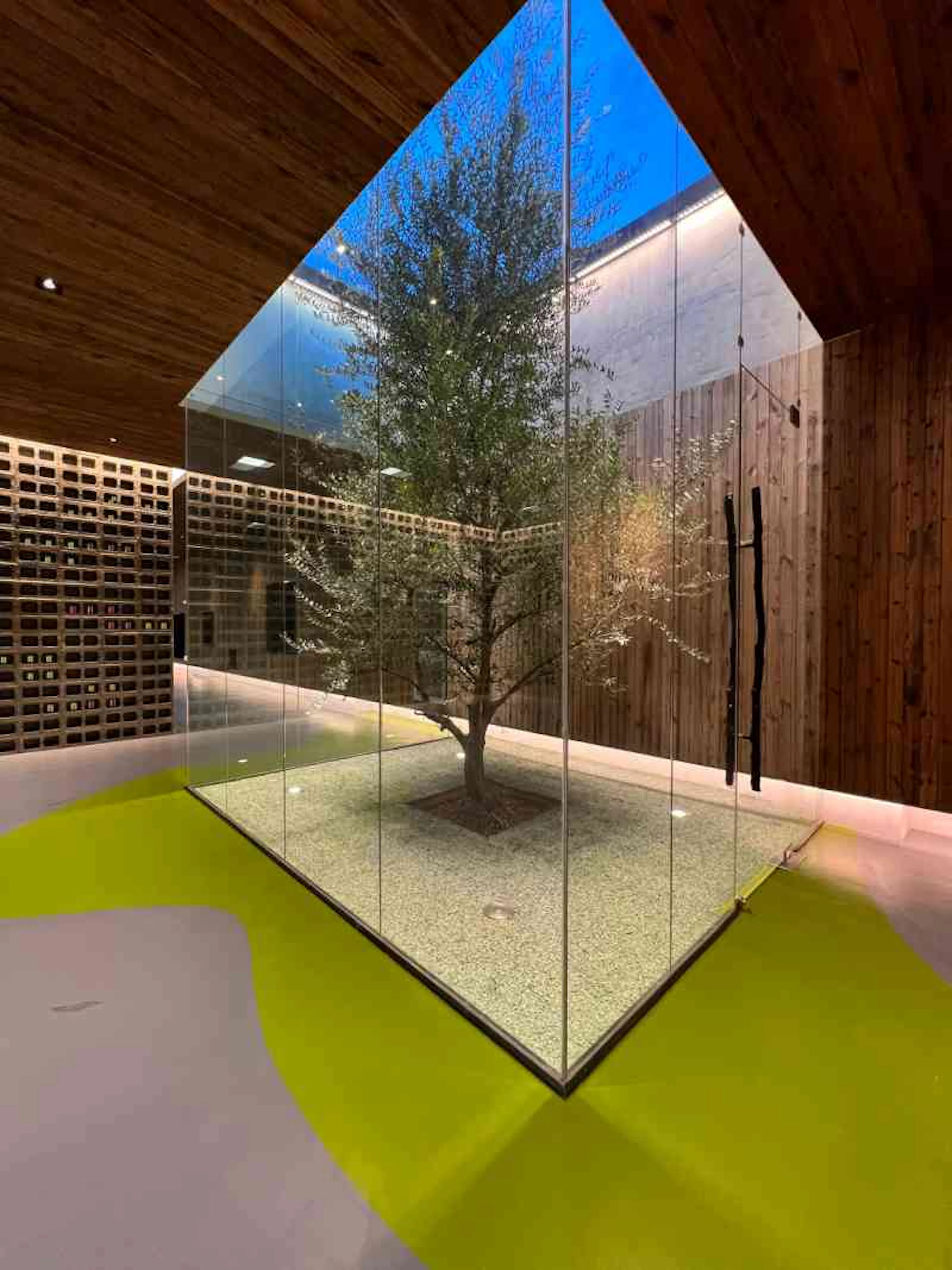 Lijiang olive oil factory - a journey between the form and formless — 10