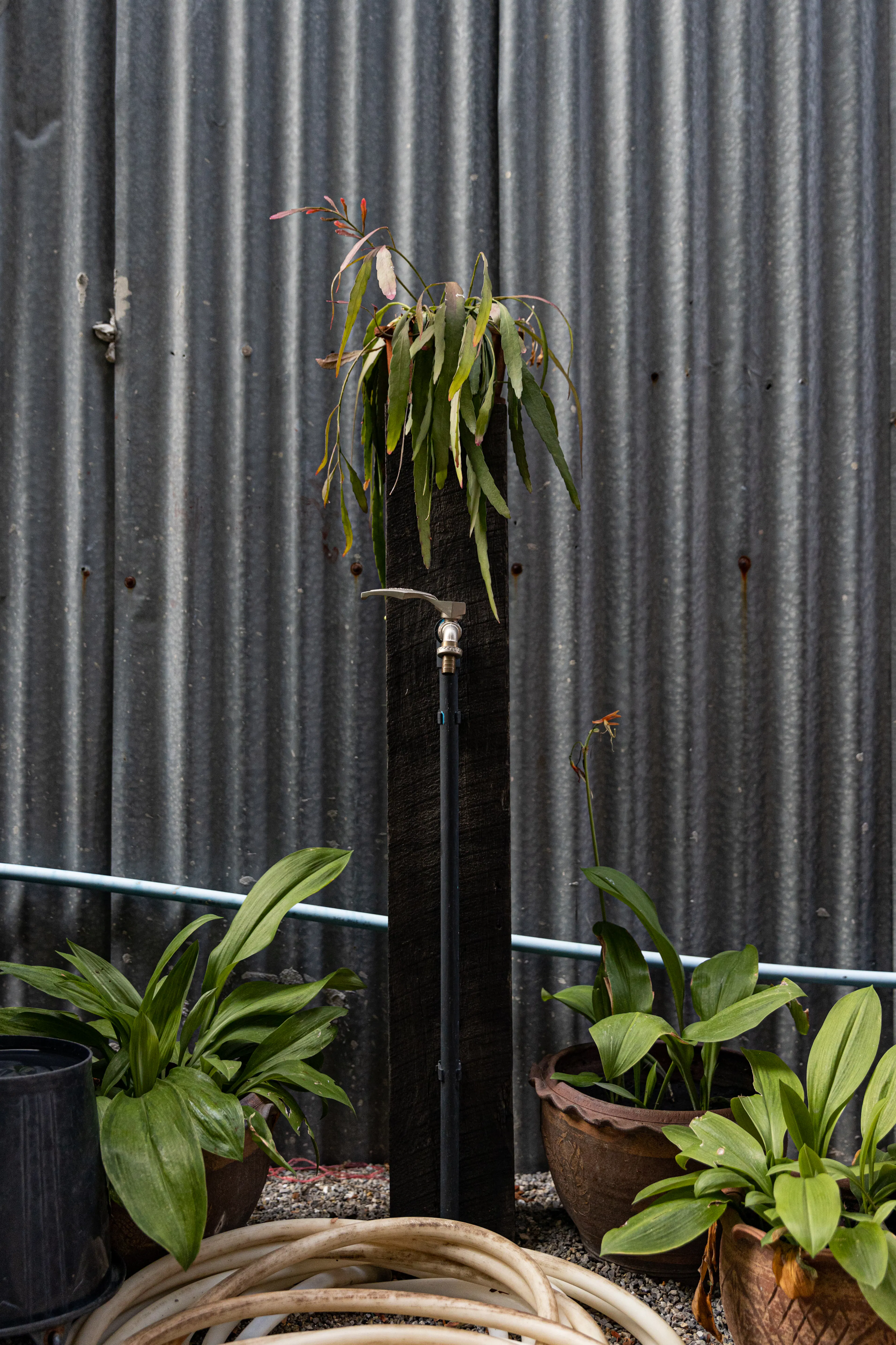 Weng's Factory Co-Working Space — 12