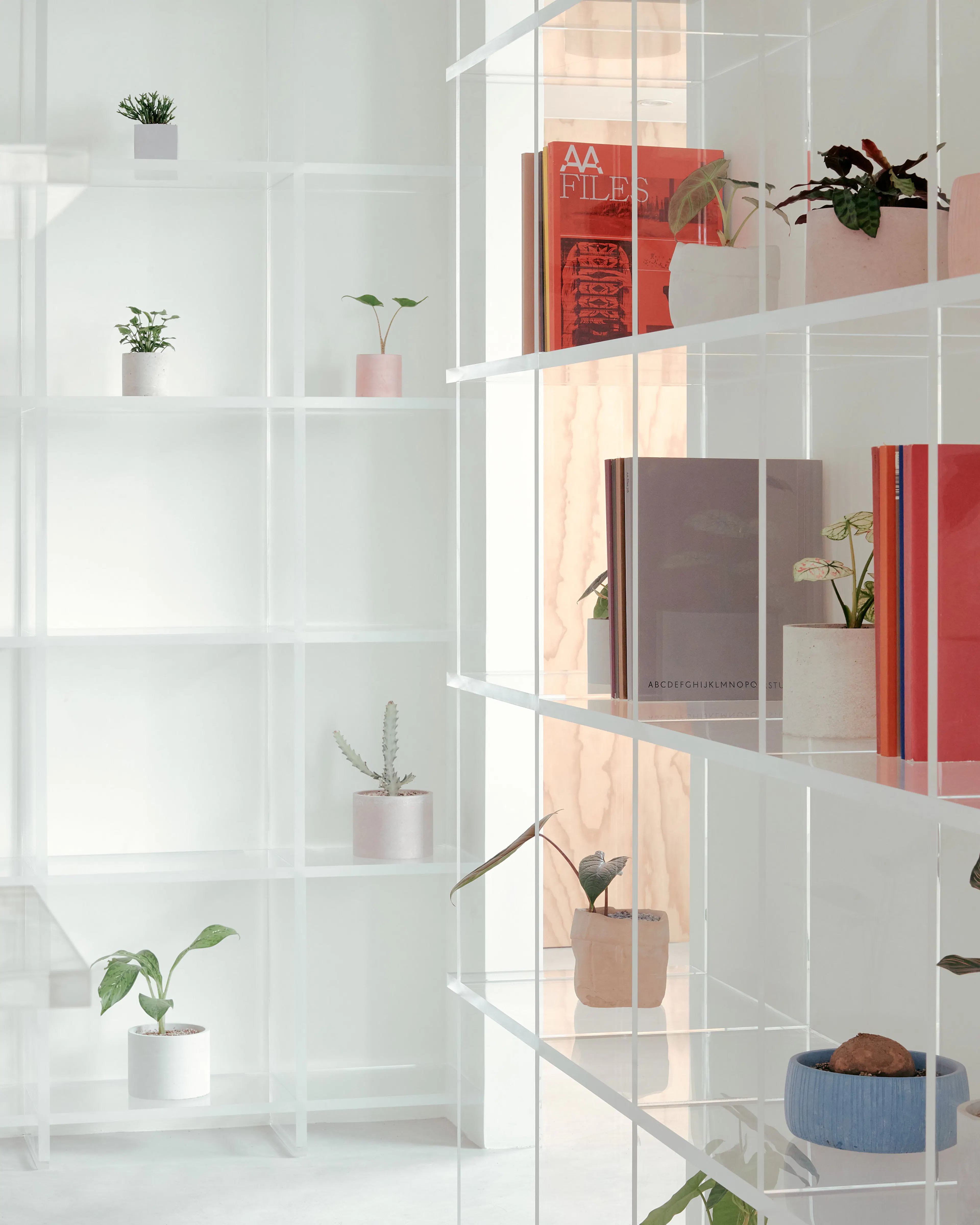 LeYi Counselling Clinic — 3