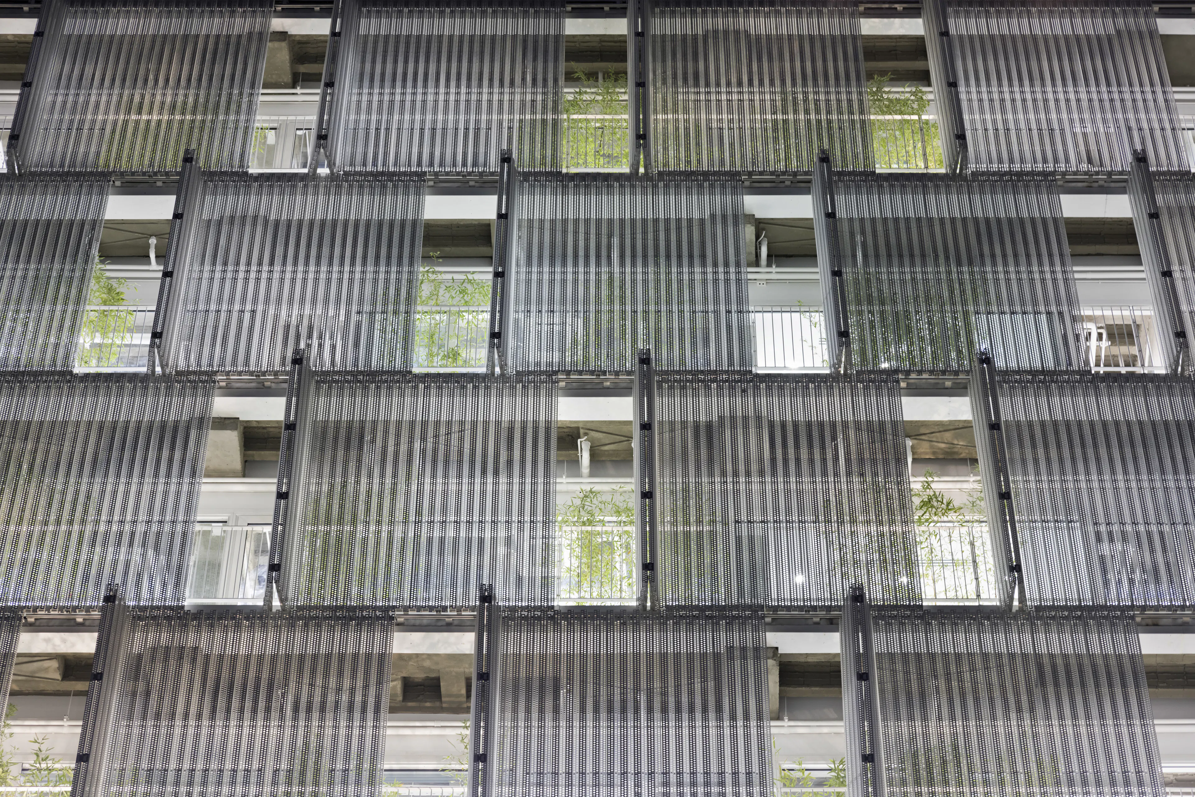 the white Renovation — 9