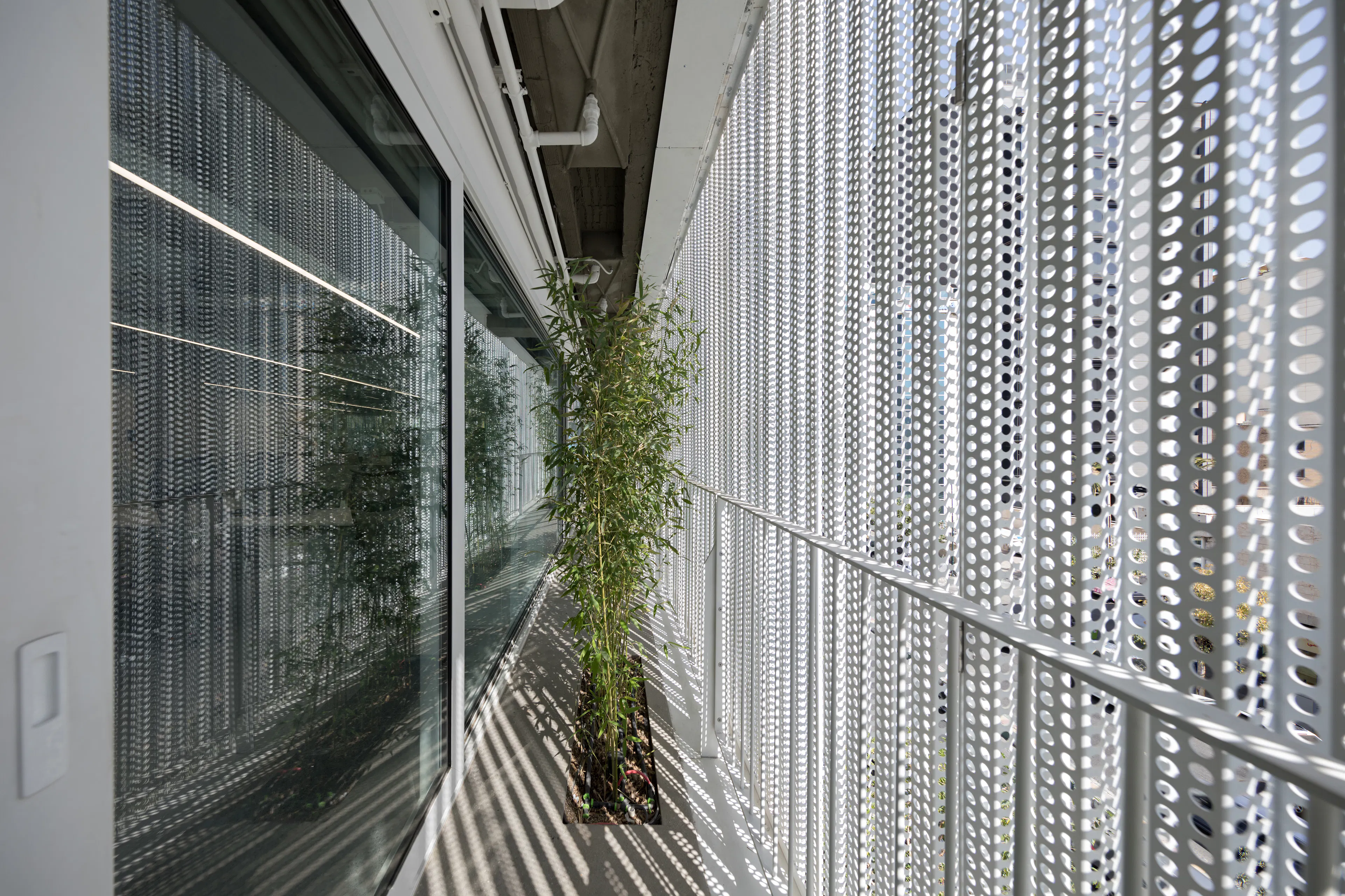 the white Renovation — 10