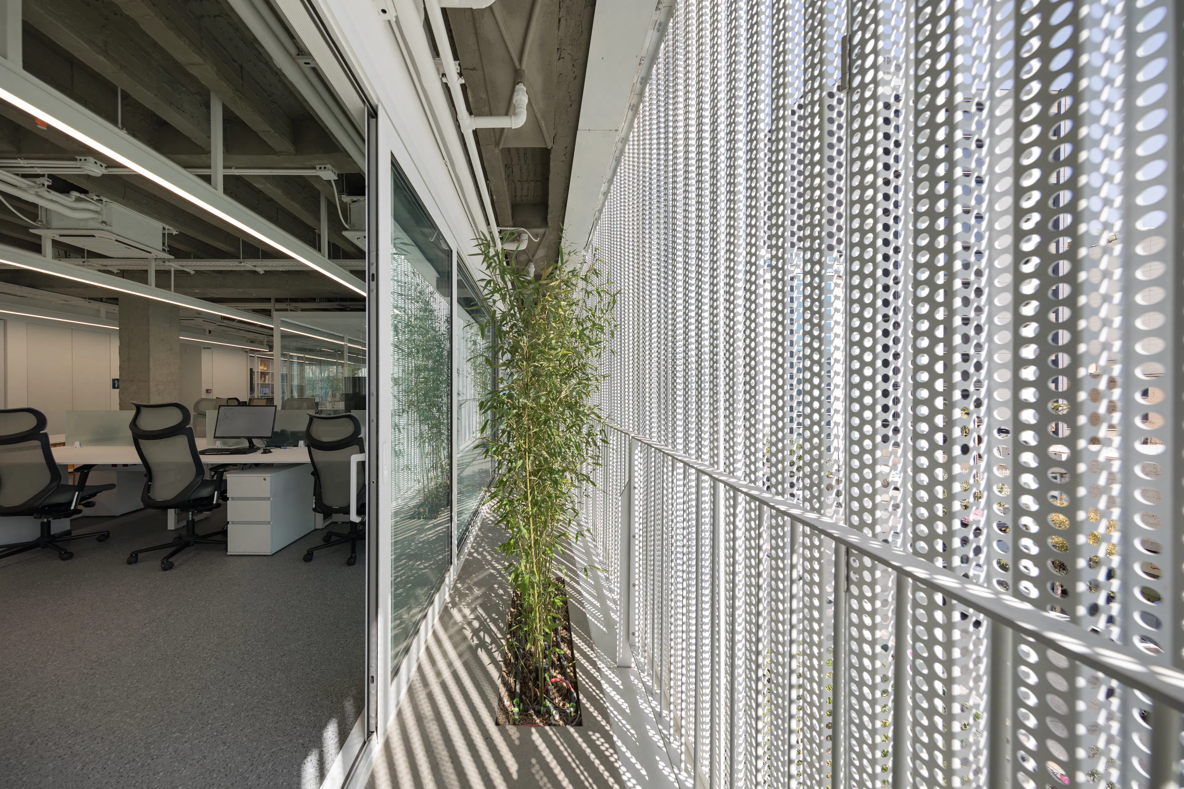 the white Renovation — 11