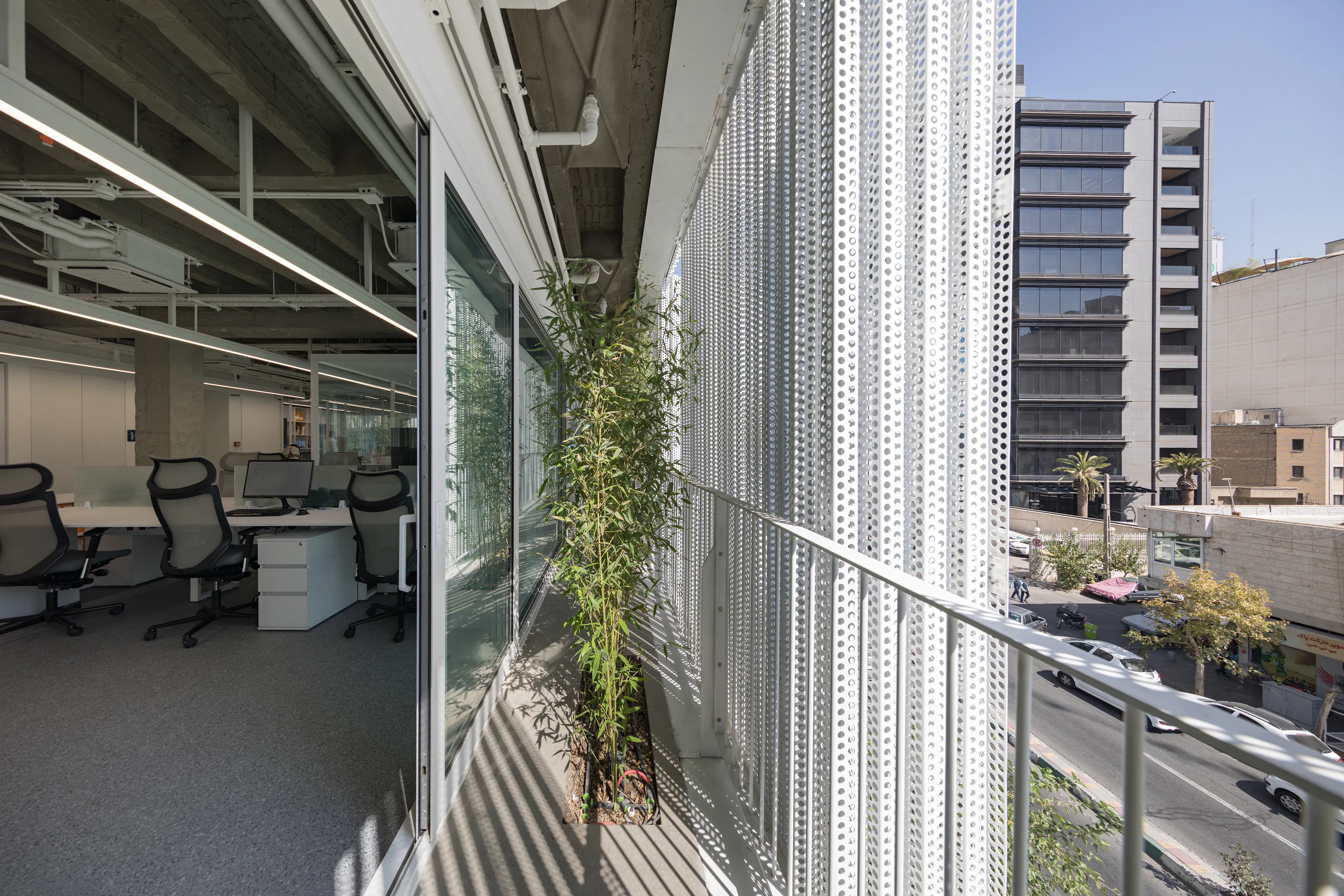 the white Renovation — 12