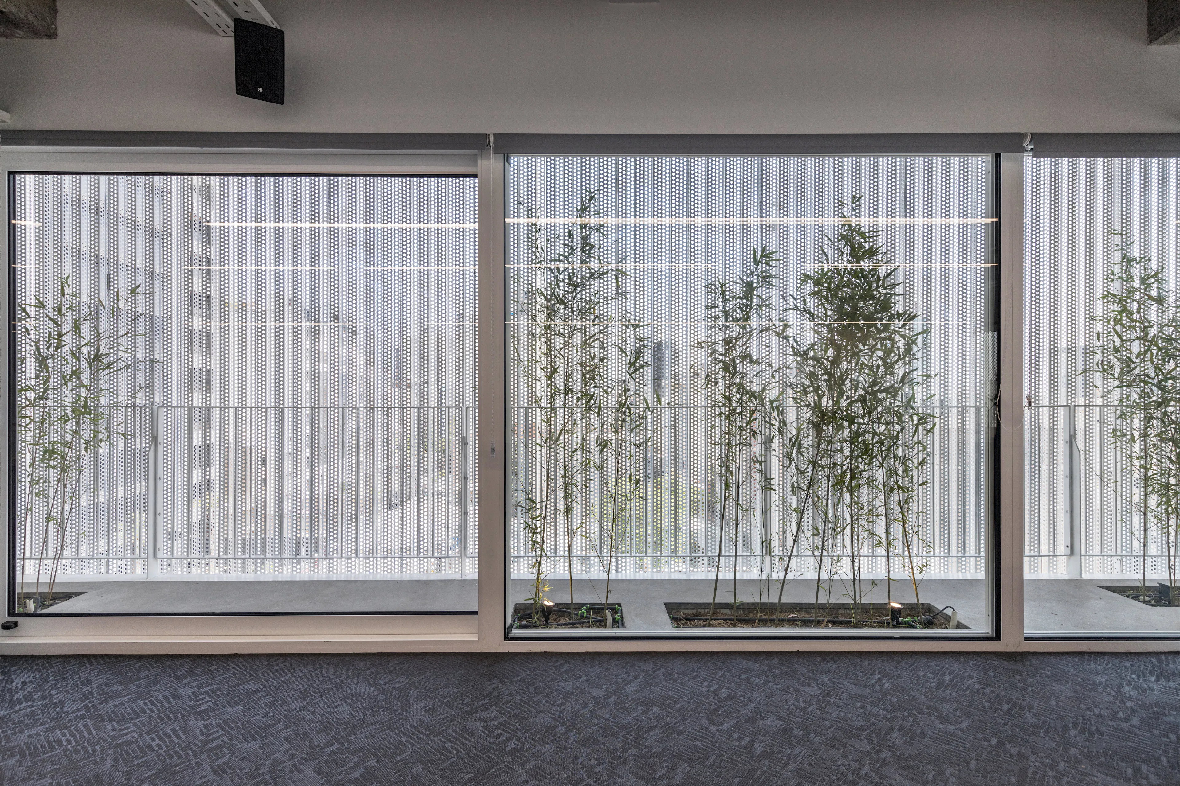 the white Renovation — 13