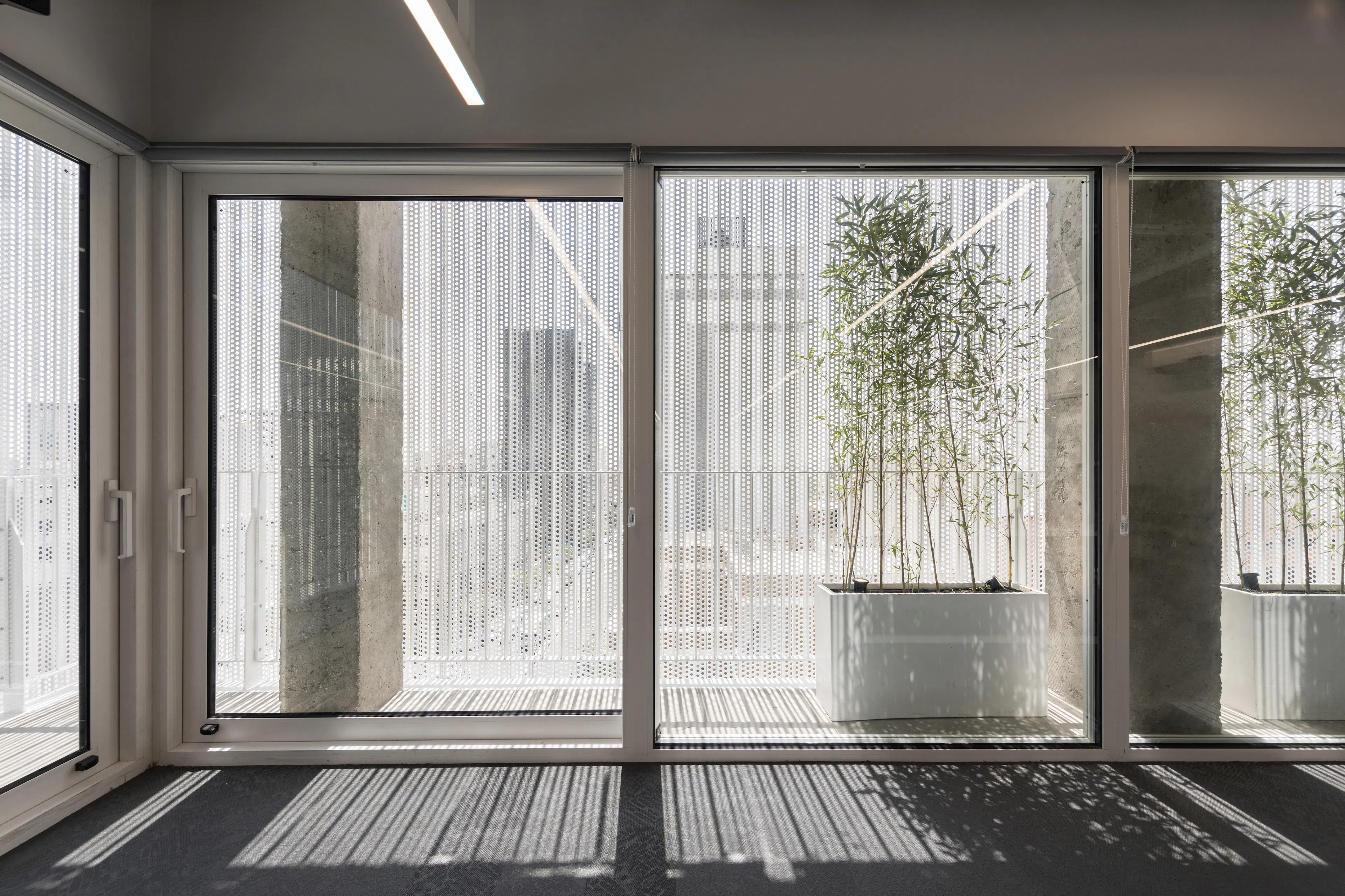 the white Renovation — 14