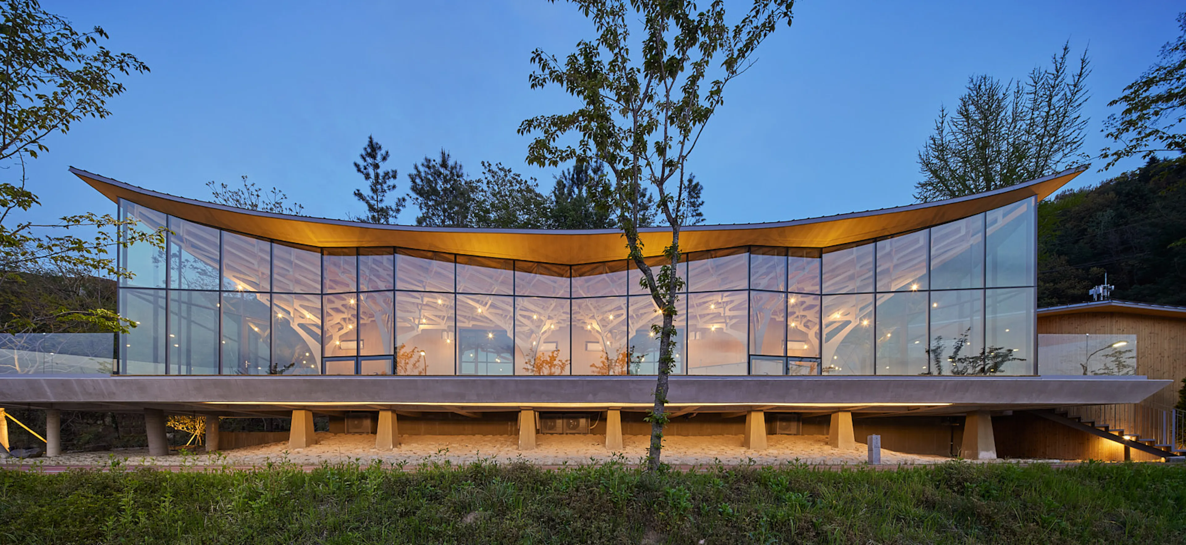 The House of Three Trees — 1