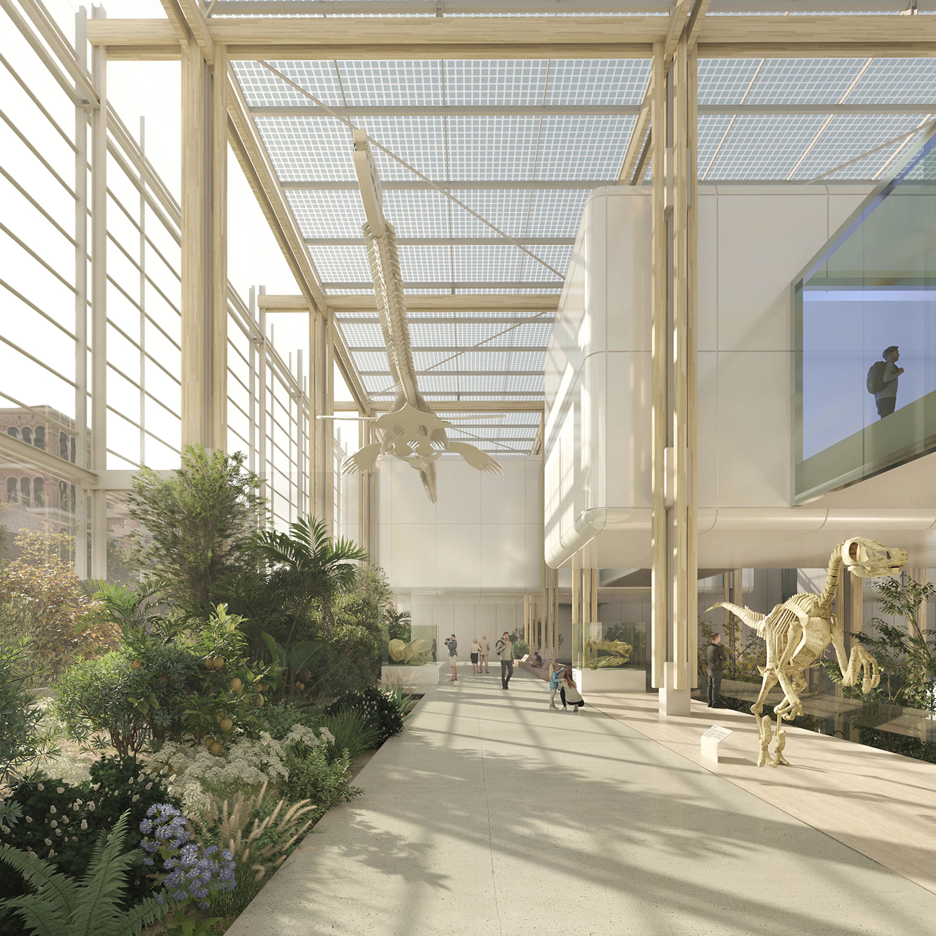 Science Forest — 5