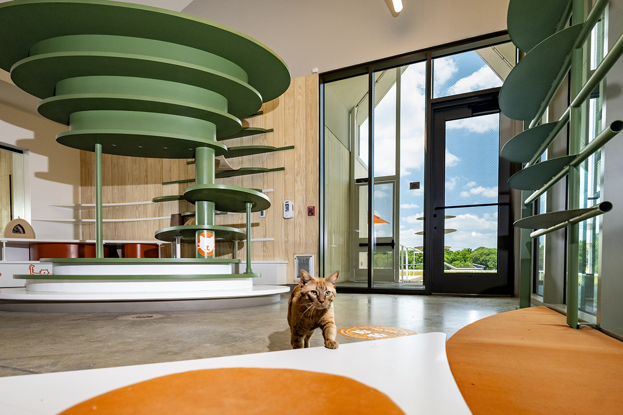 Pet Resource Center by RADA Architizer