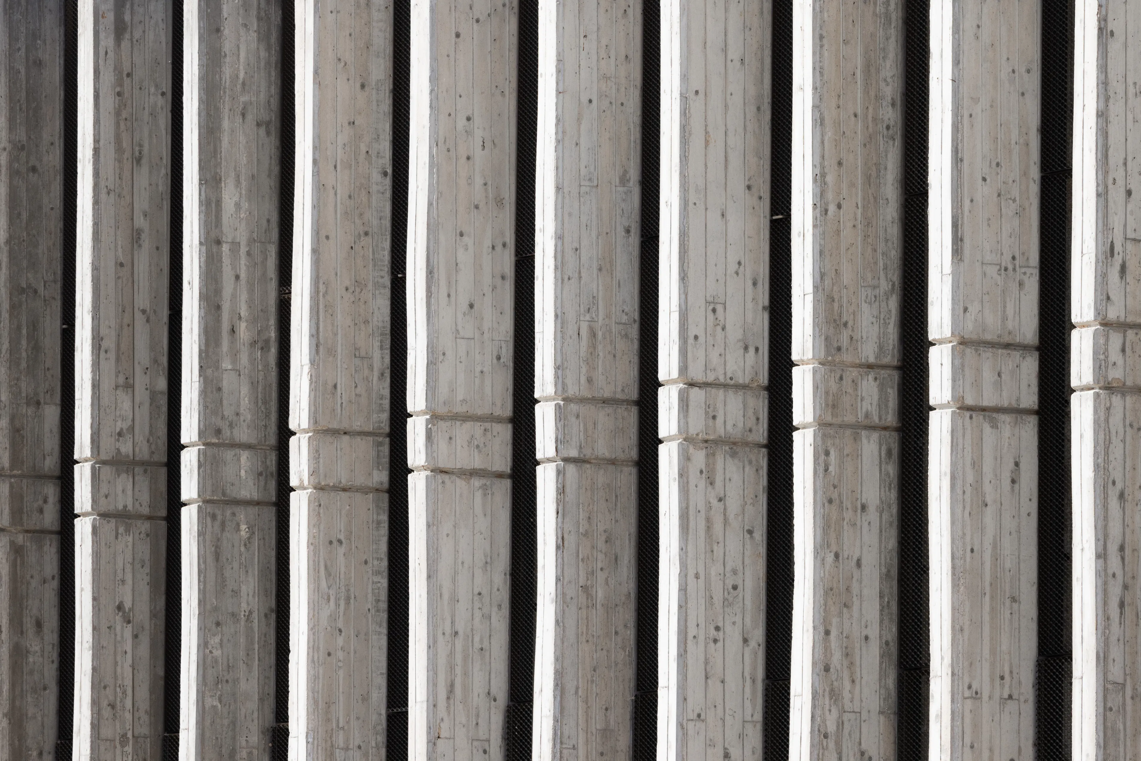 Midbarium, The Jack, Joseph & Morton Mandell Animal Park — 4