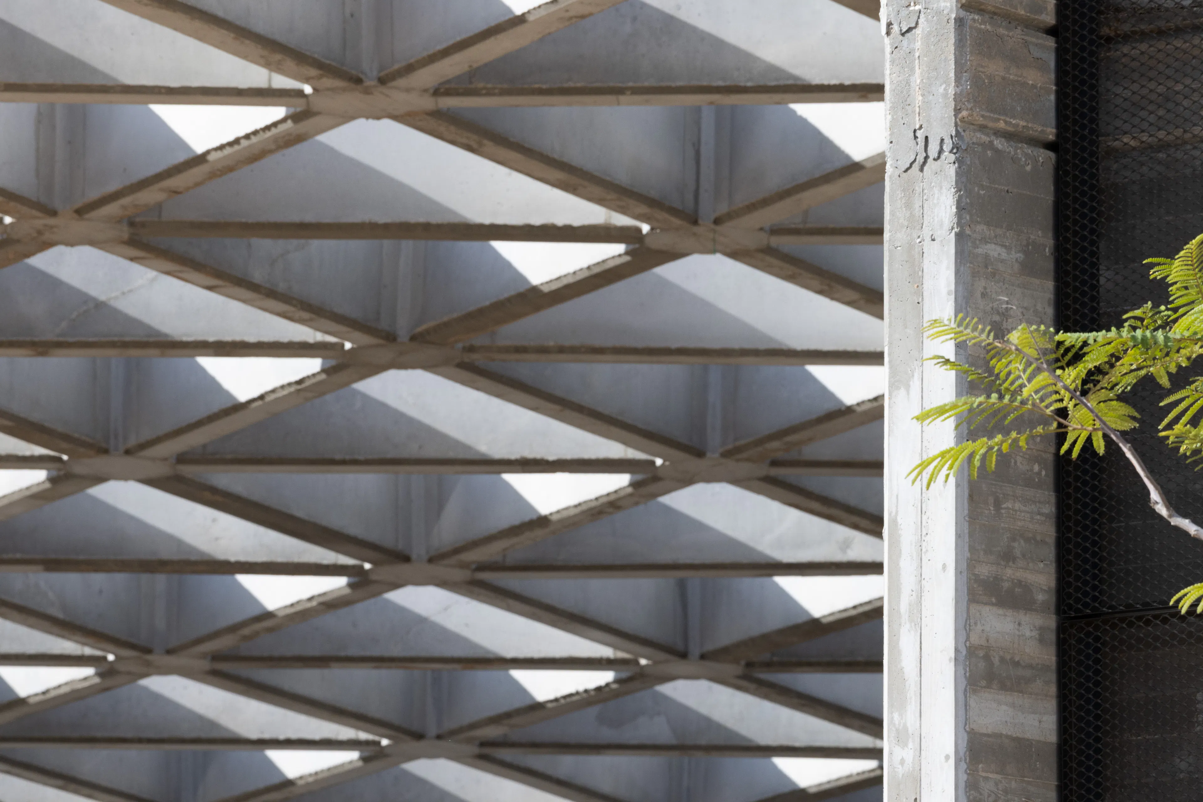 Midbarium, The Jack, Joseph & Morton Mandell Animal Park — 5