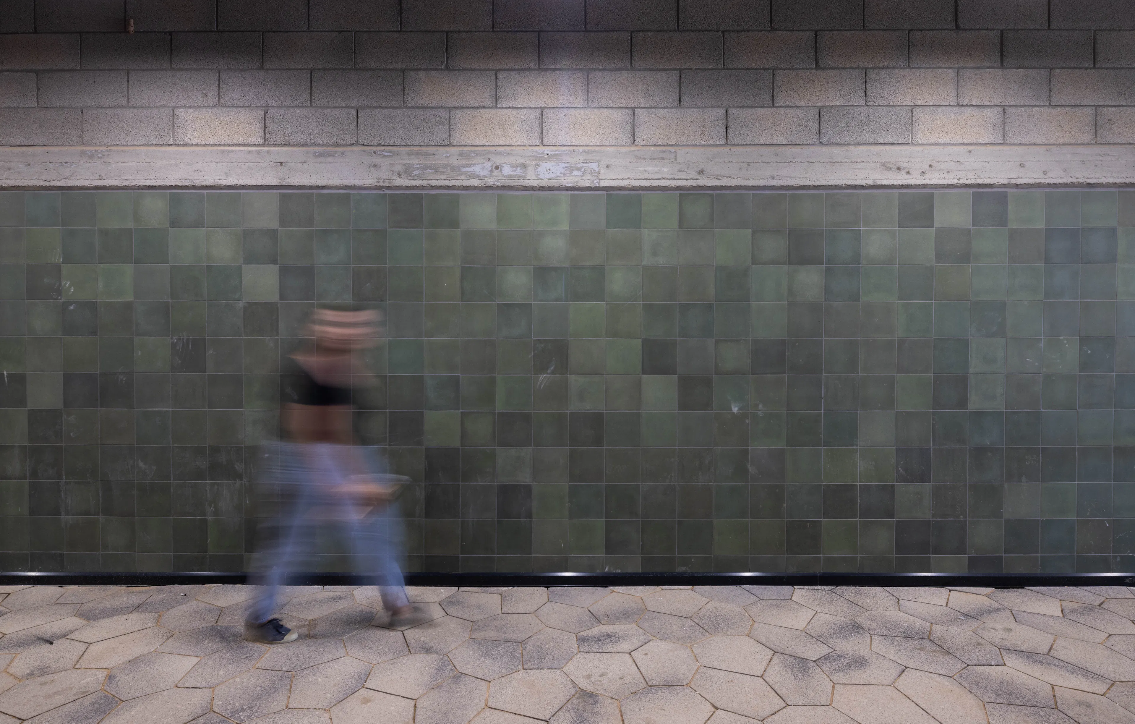 Midbarium, The Jack, Joseph & Morton Mandell Animal Park — 7