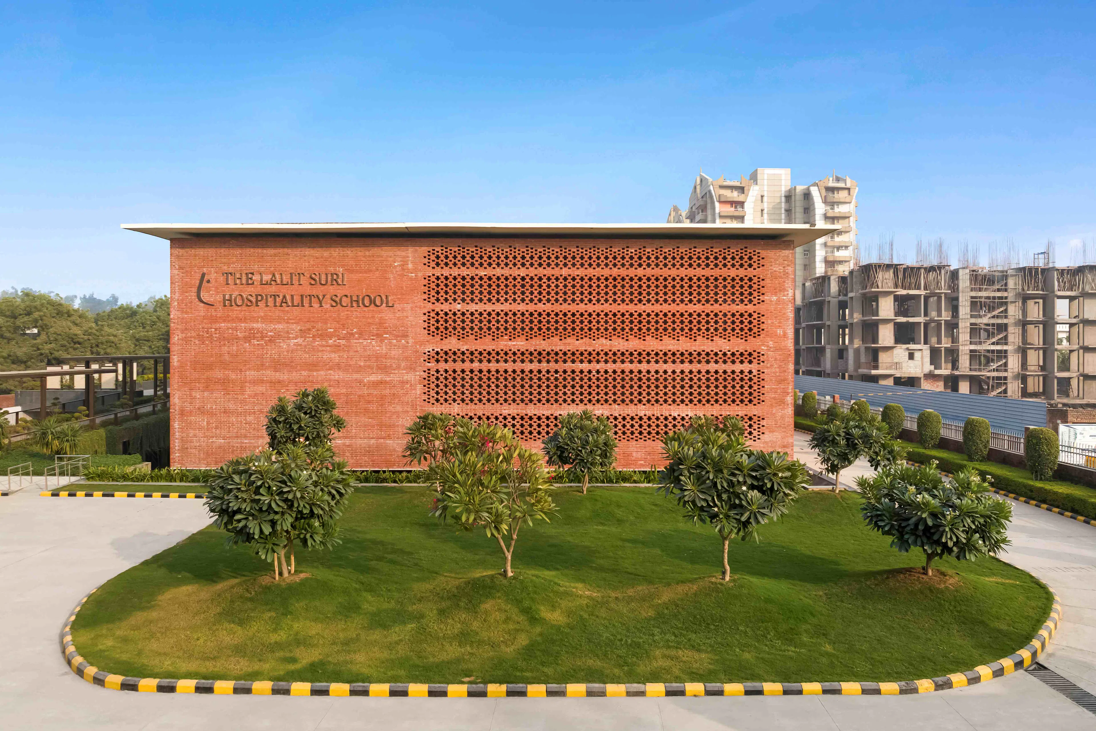 Morphogenesis — 10