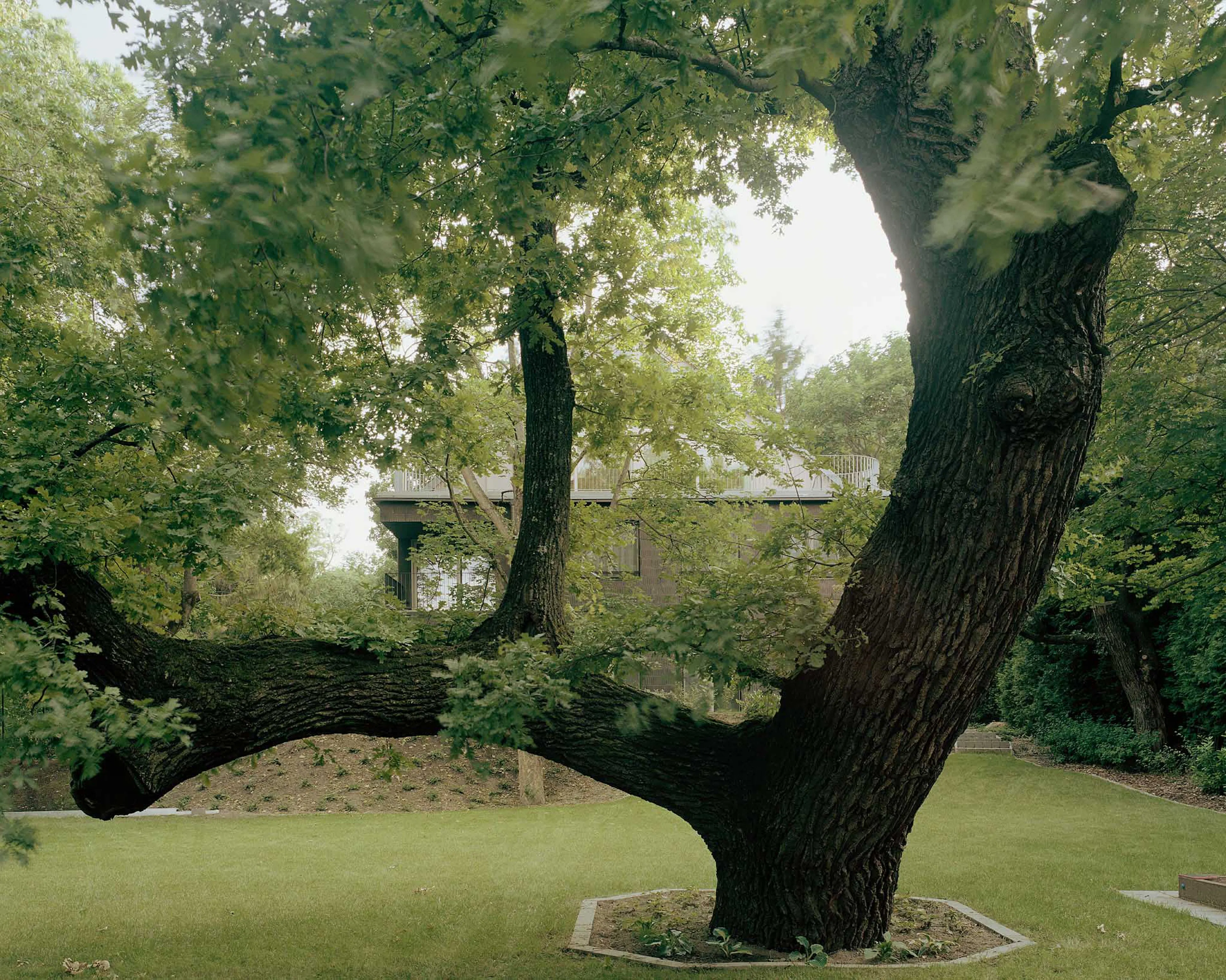 H151 - a house with five apartments — 12