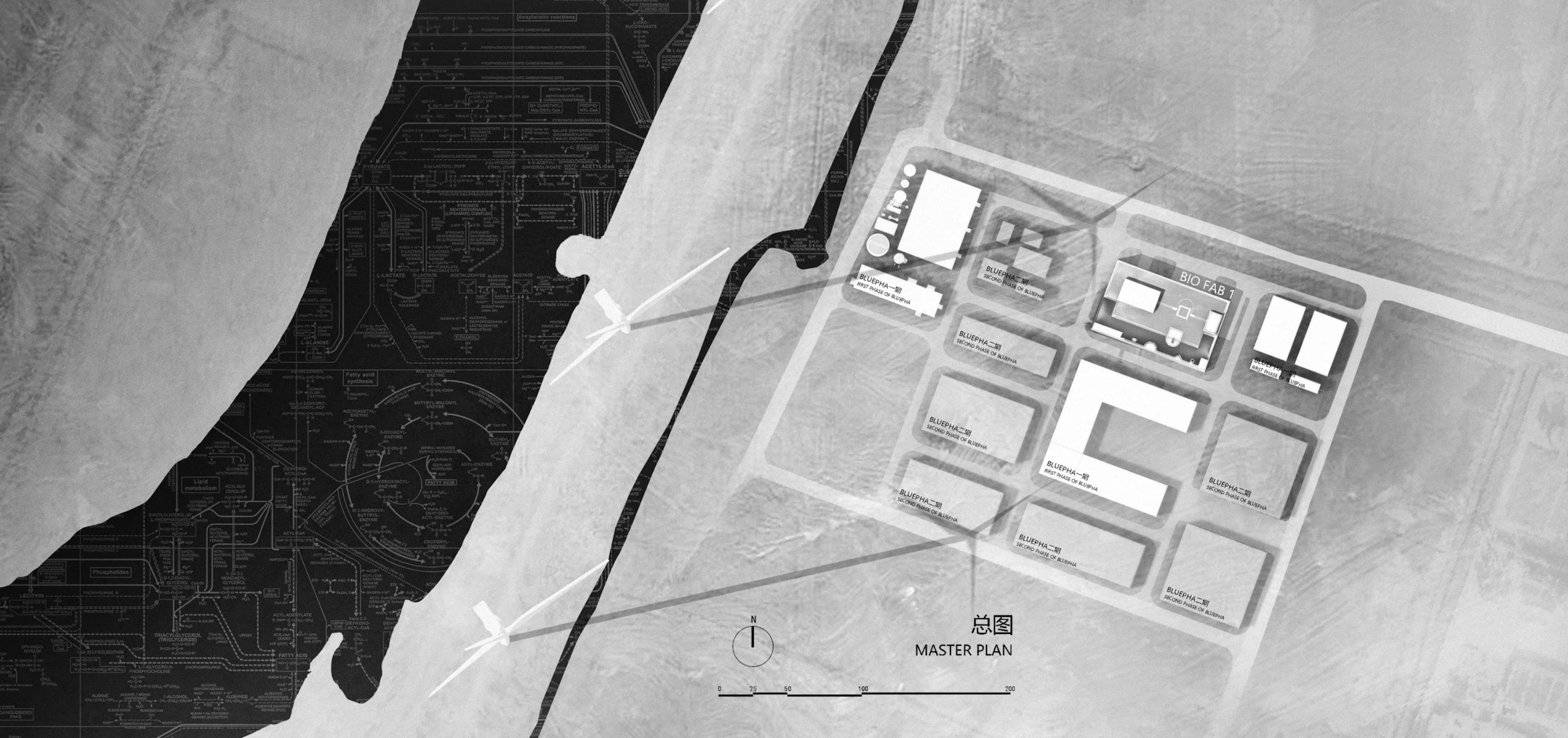 Bluepha BioFAB — 33