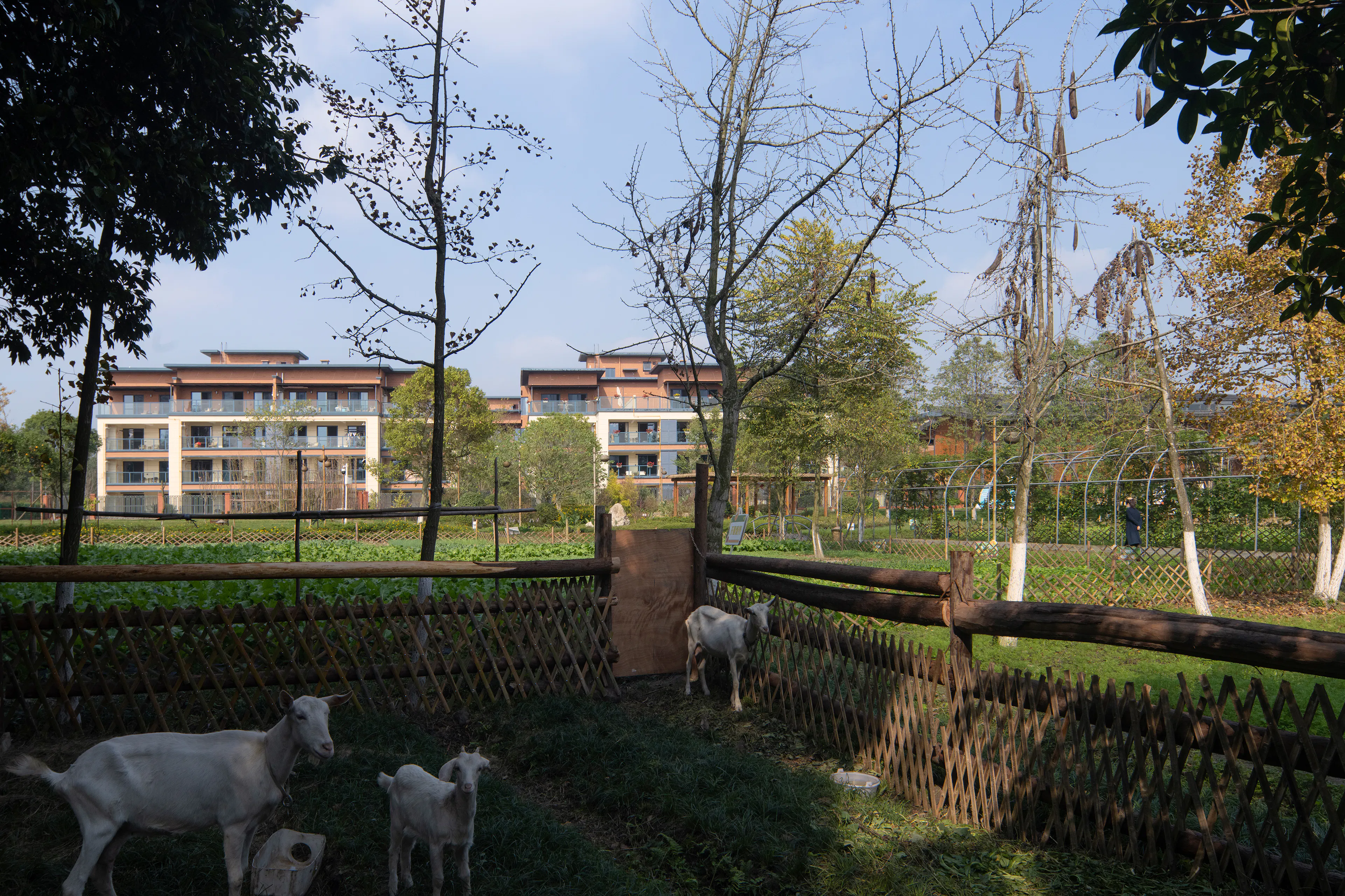 Heilongtan Reservoir Jinsha Island Biodiversity Planning and Birding Design — 26