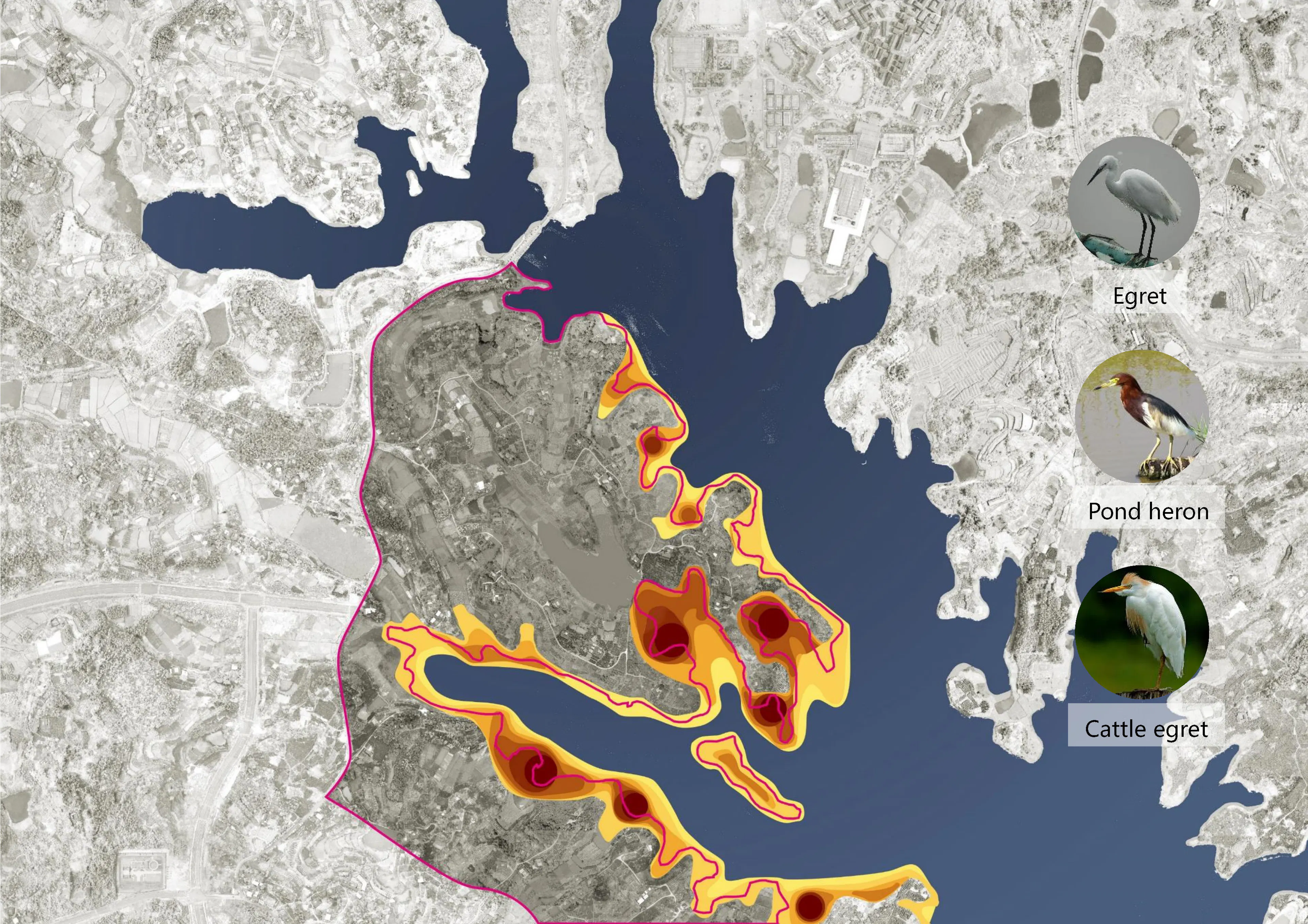 Heilongtan Reservoir Jinsha Island Biodiversity Planning and Birding Design — 2
