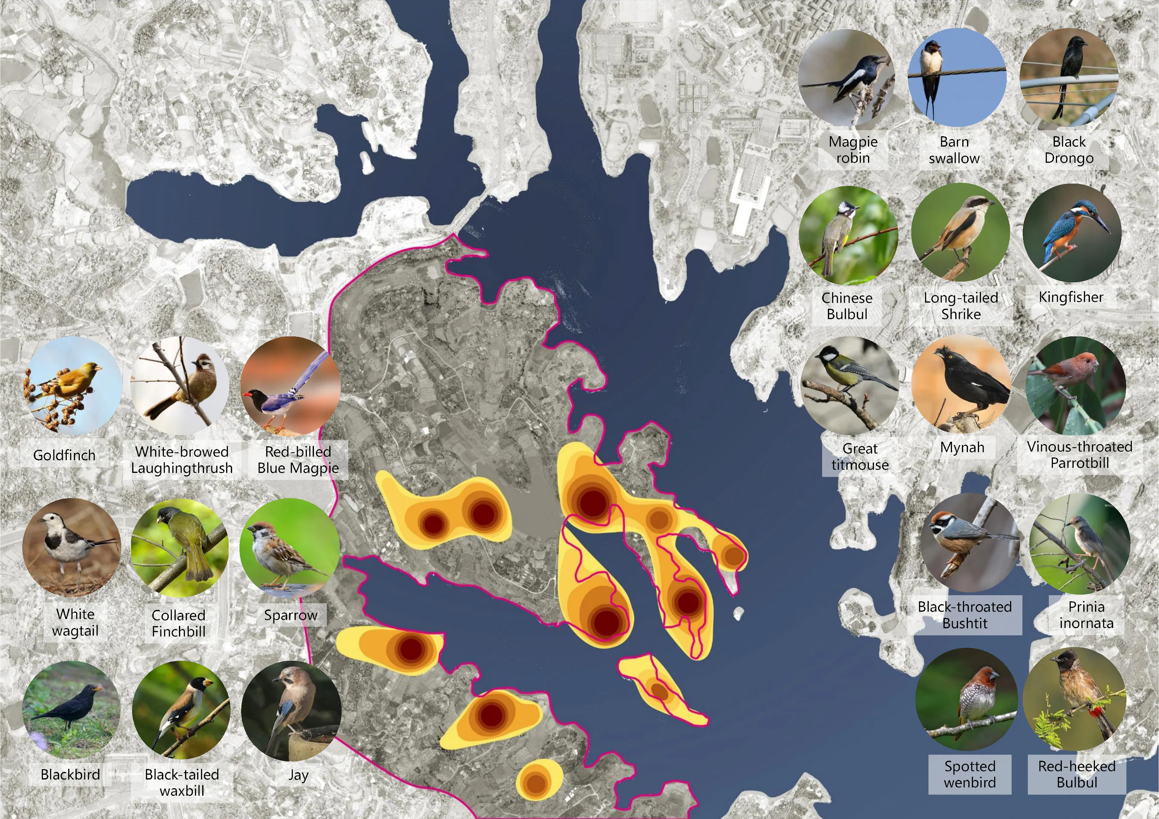 Heilongtan Reservoir Jinsha Island Biodiversity Planning and Birding Design — 3