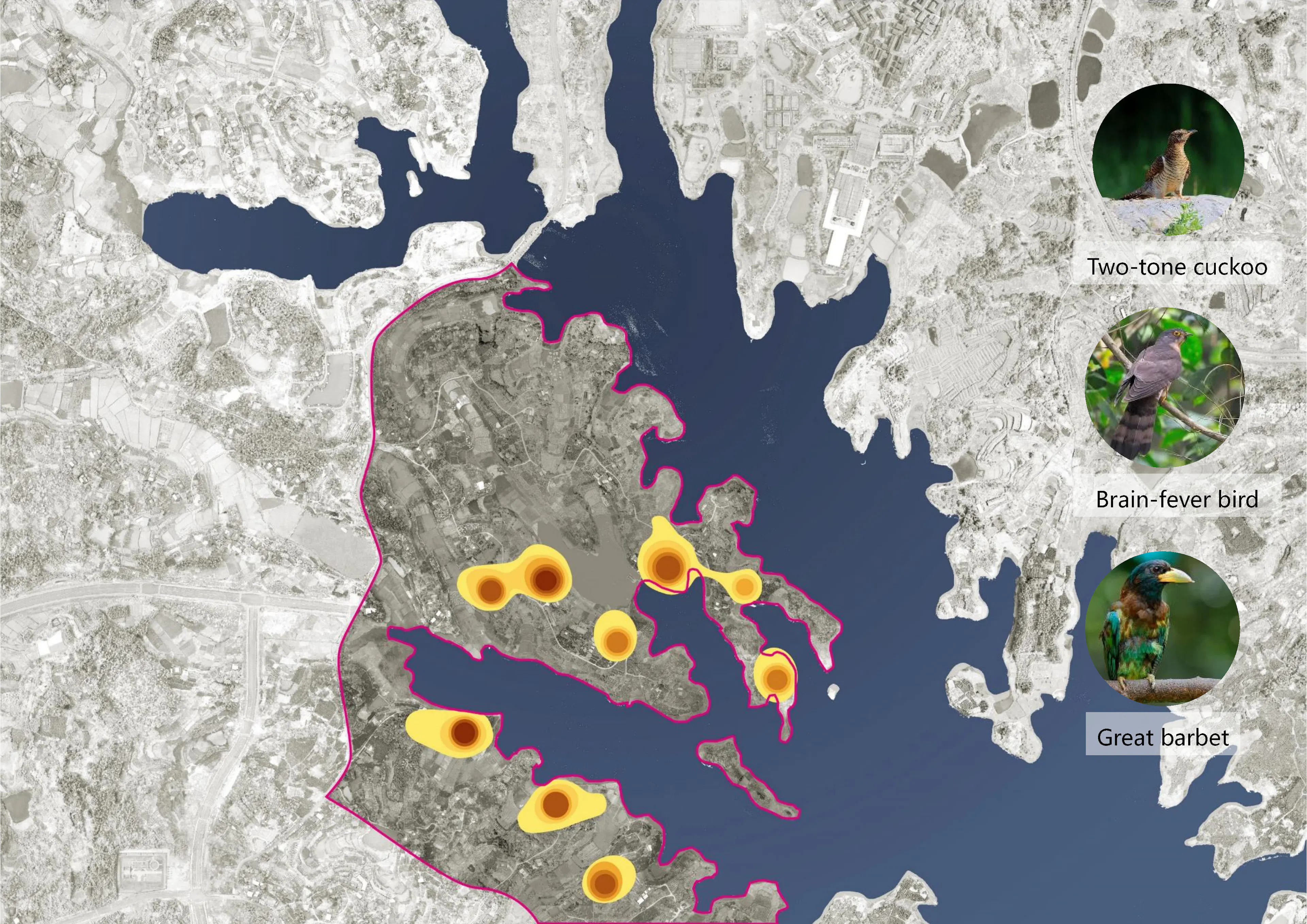Heilongtan Reservoir Jinsha Island Biodiversity Planning and Birding Design — 4