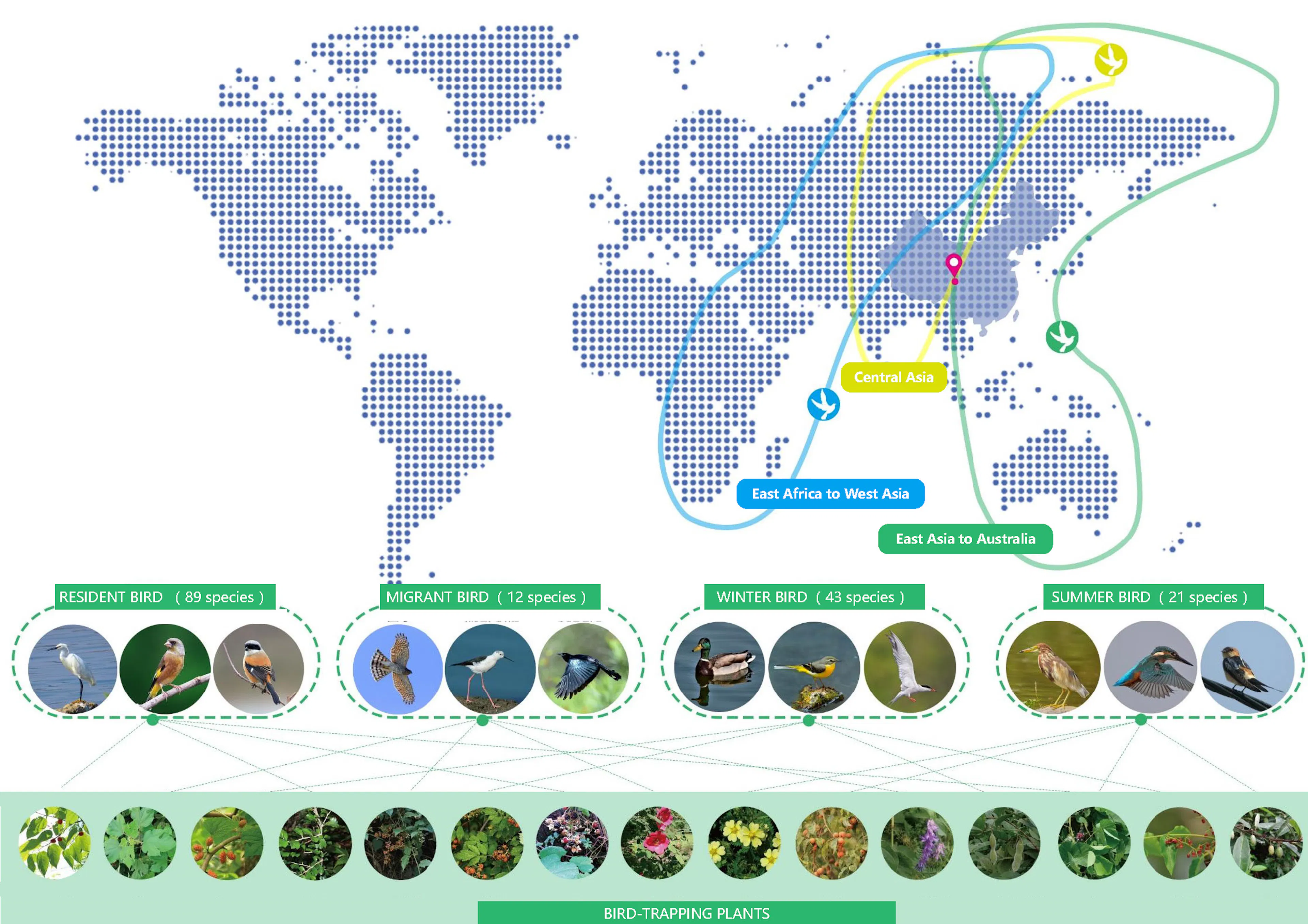 Heilongtan Reservoir Jinsha Island Biodiversity Planning and Birding Design — 1