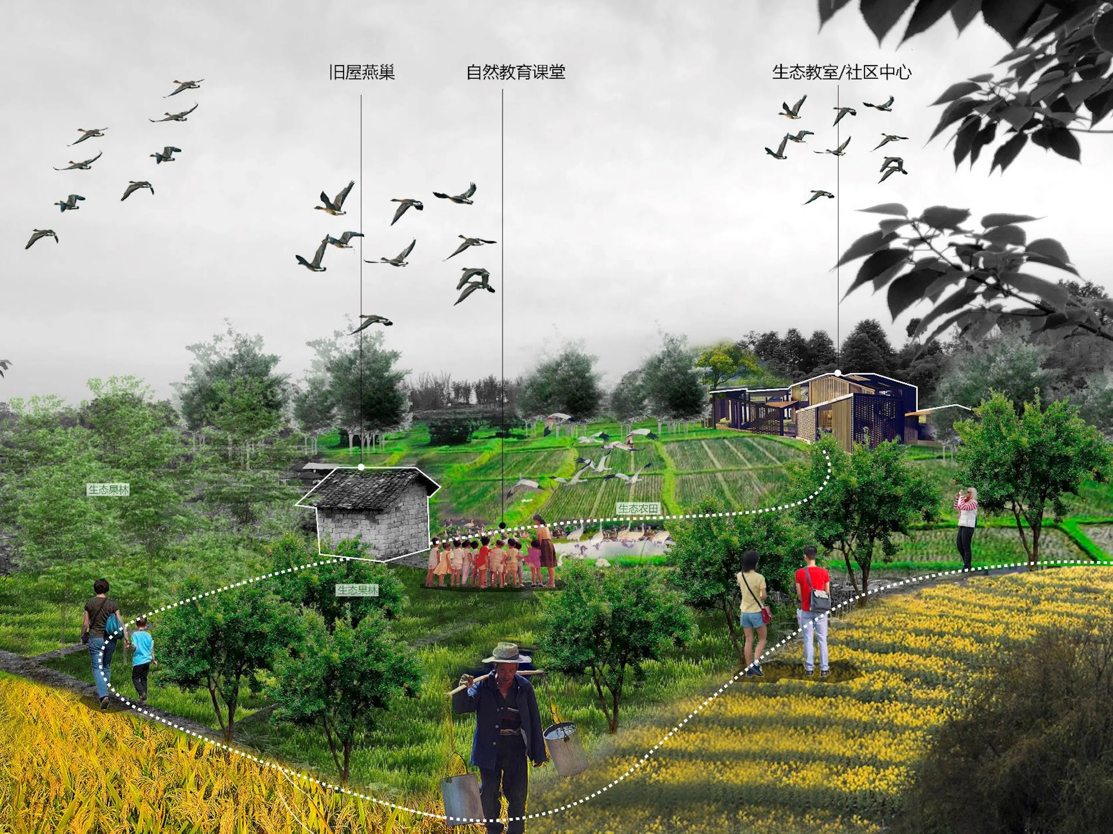 Heilongtan Reservoir Jinsha Island Biodiversity Planning and Birding Design — 7