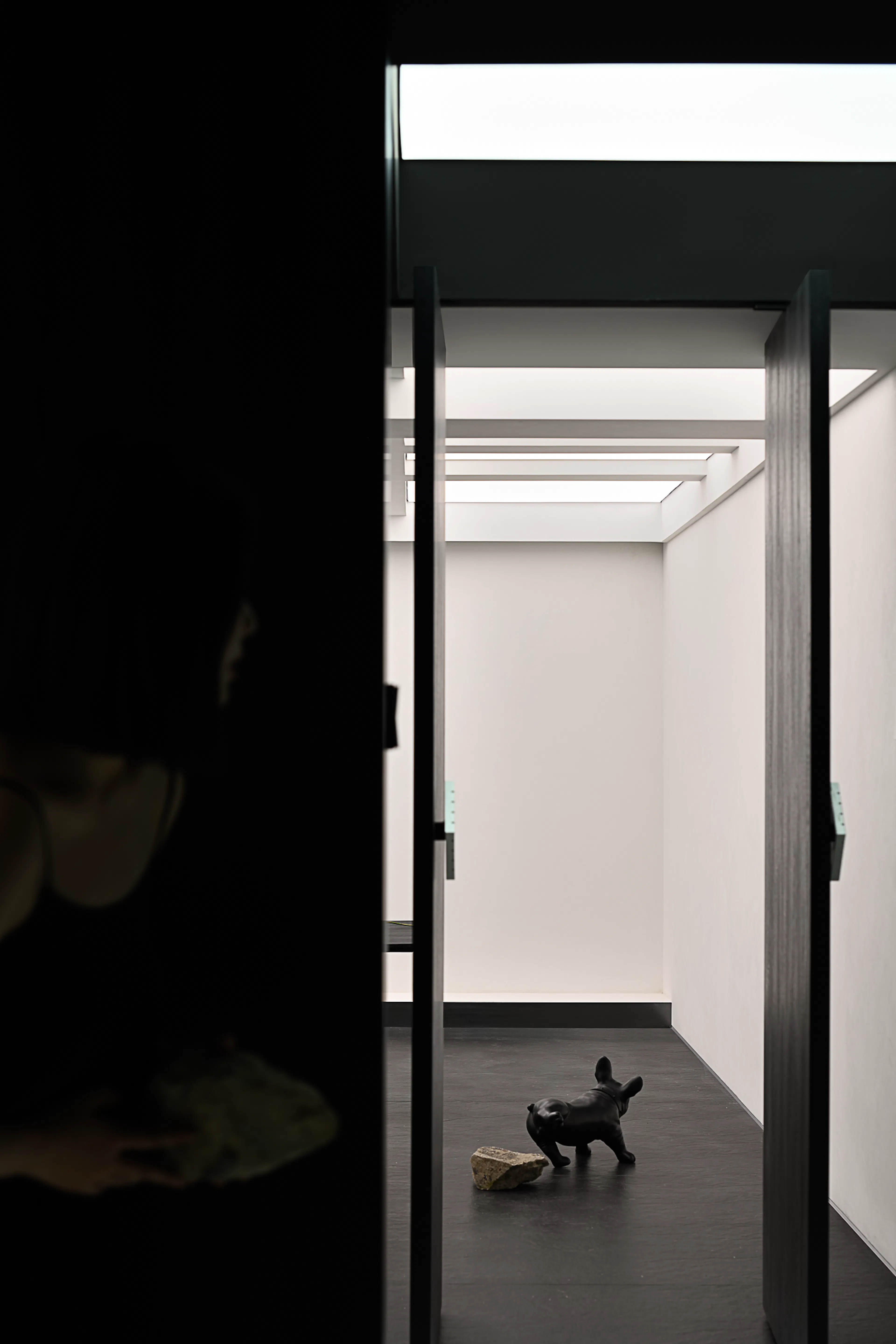 SENSEWE OFFICE 2.0 — 25