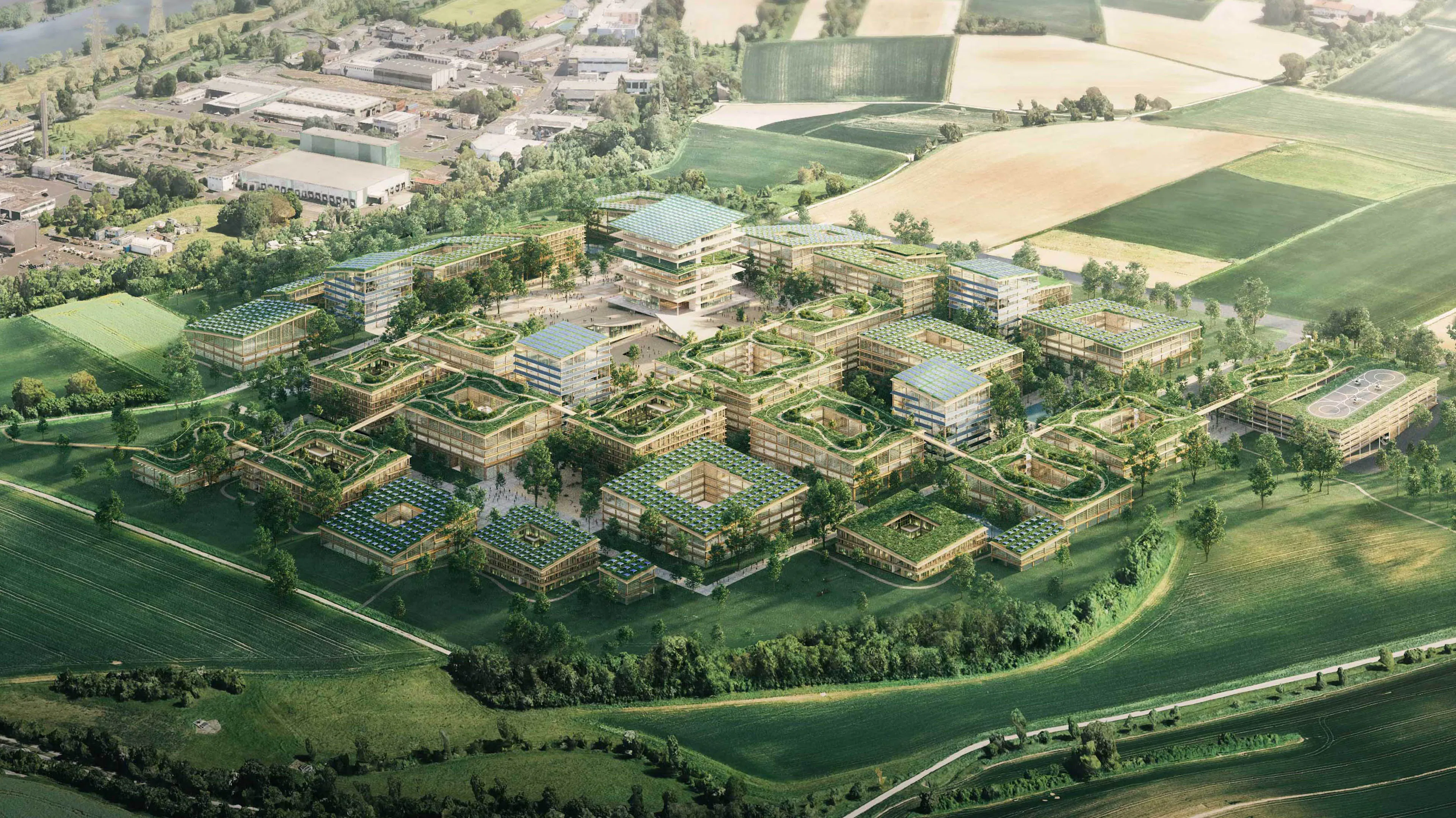 Four primary schools in modular design — 15