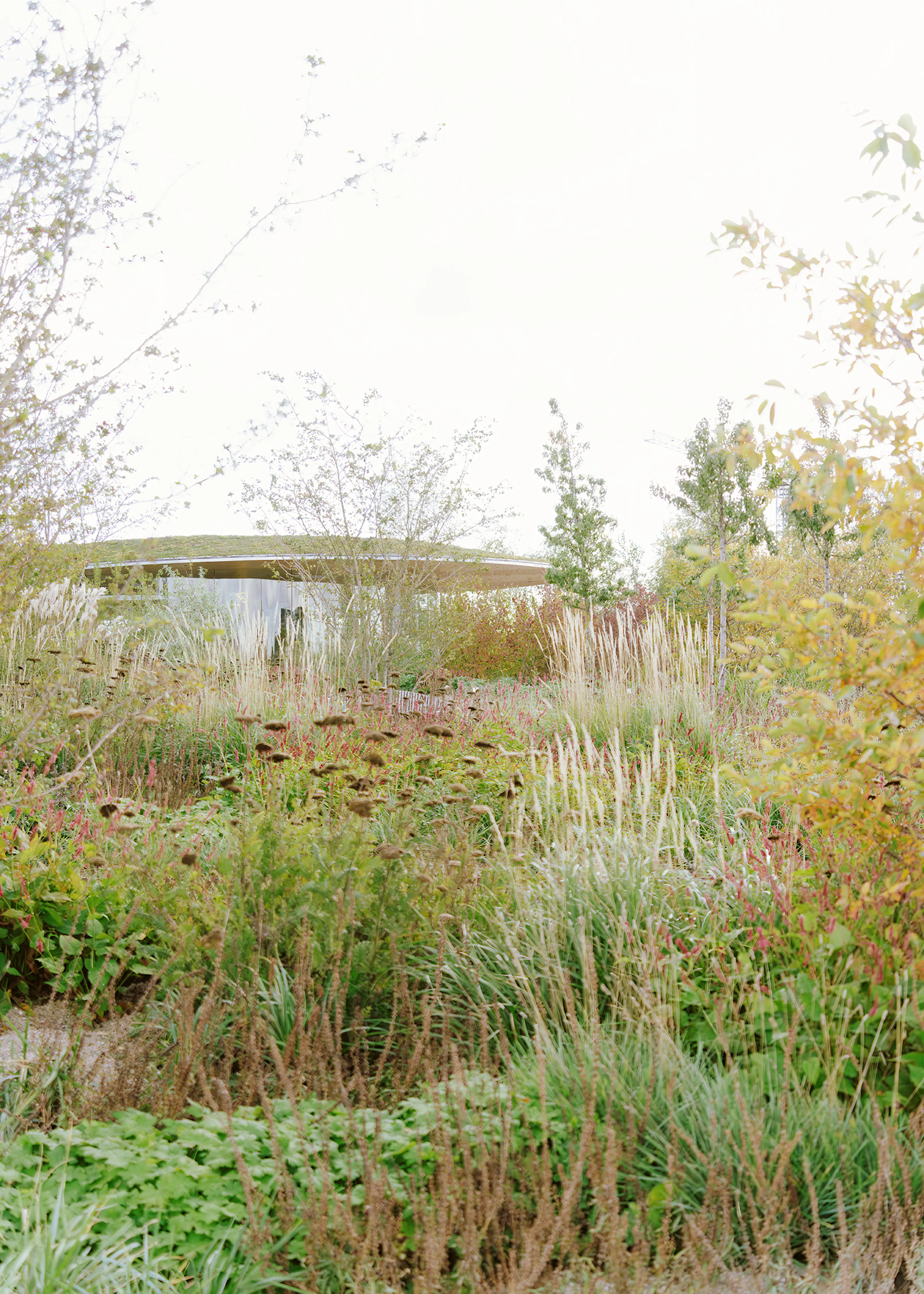 The Opera Park — 11