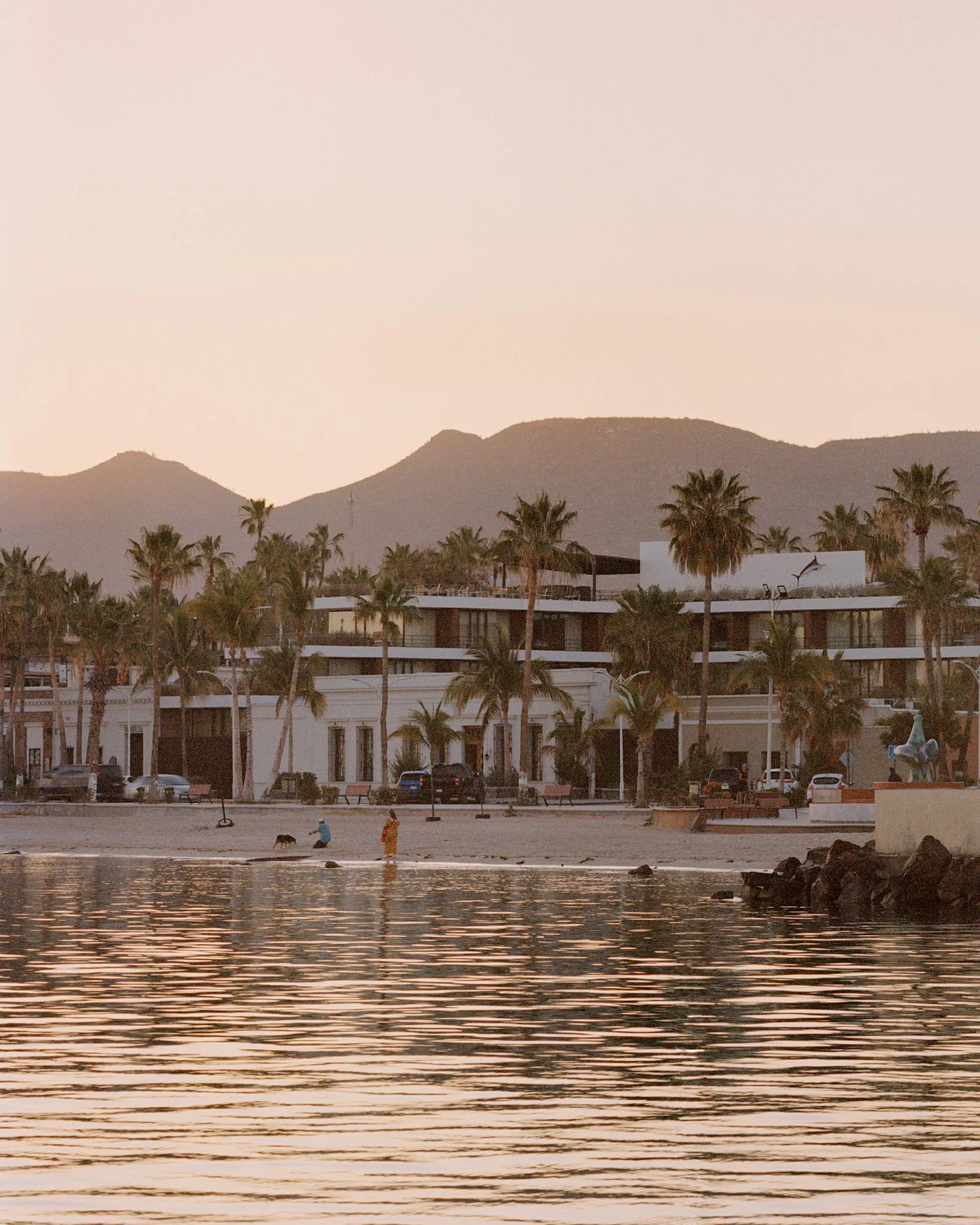 Max von Werz Arquitectos — 1