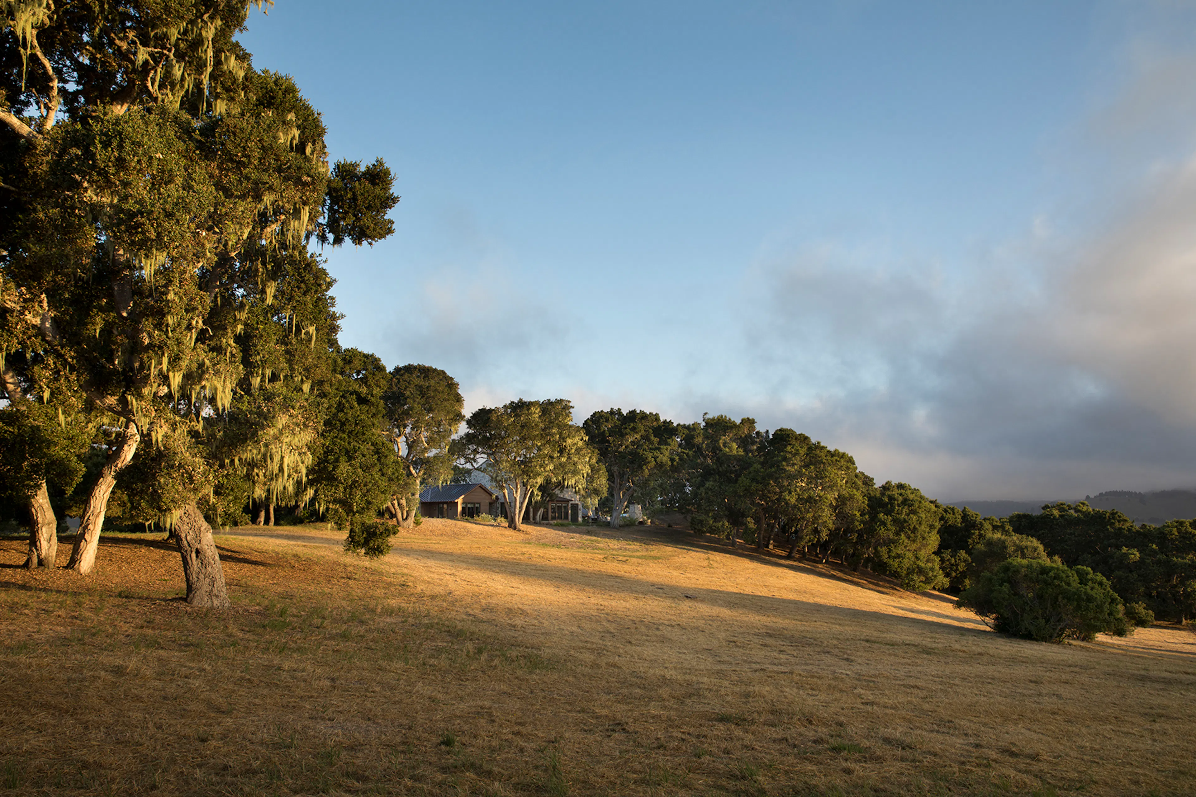 Diamond Mountain — 5