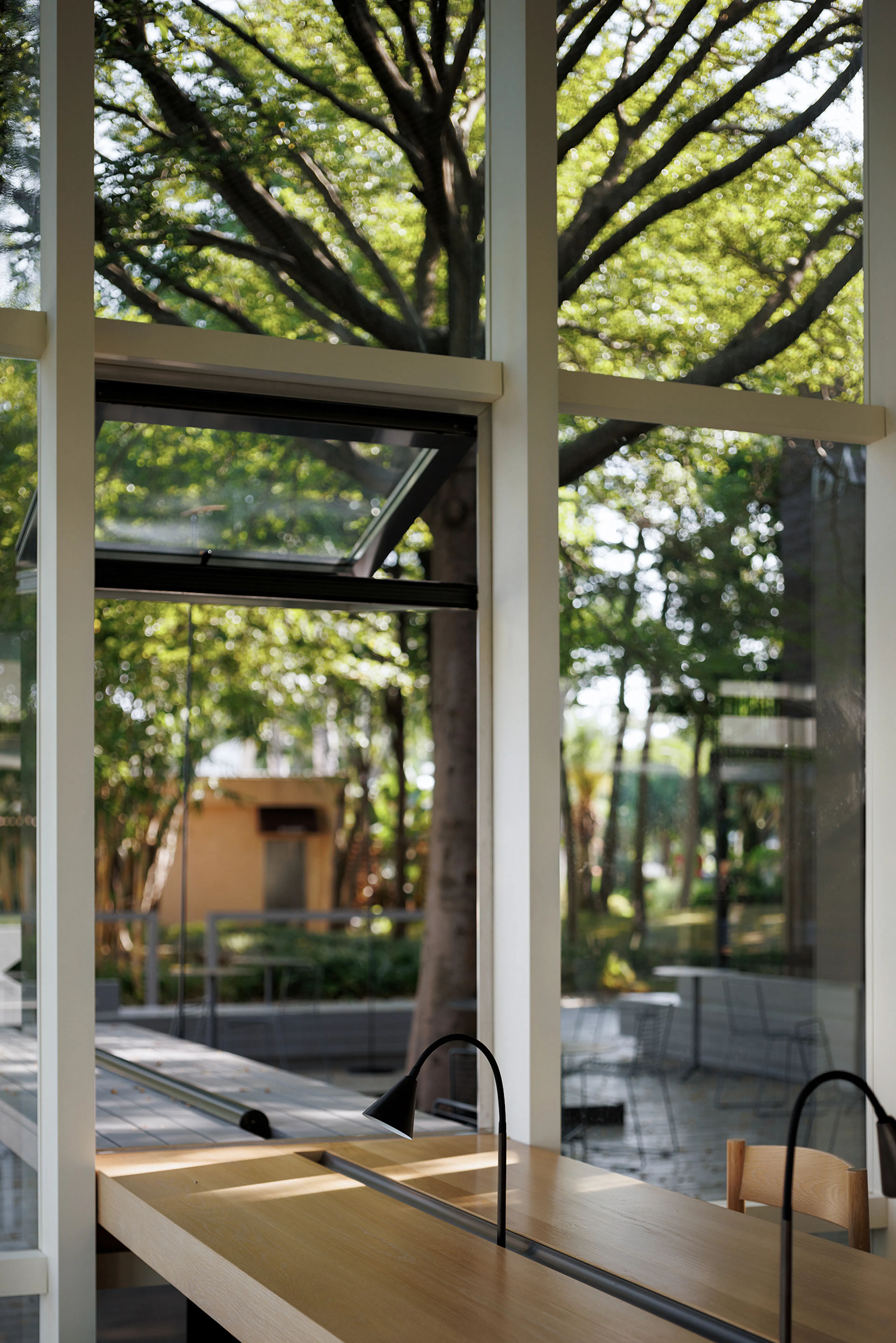 BASAO Bailuzhou — 19