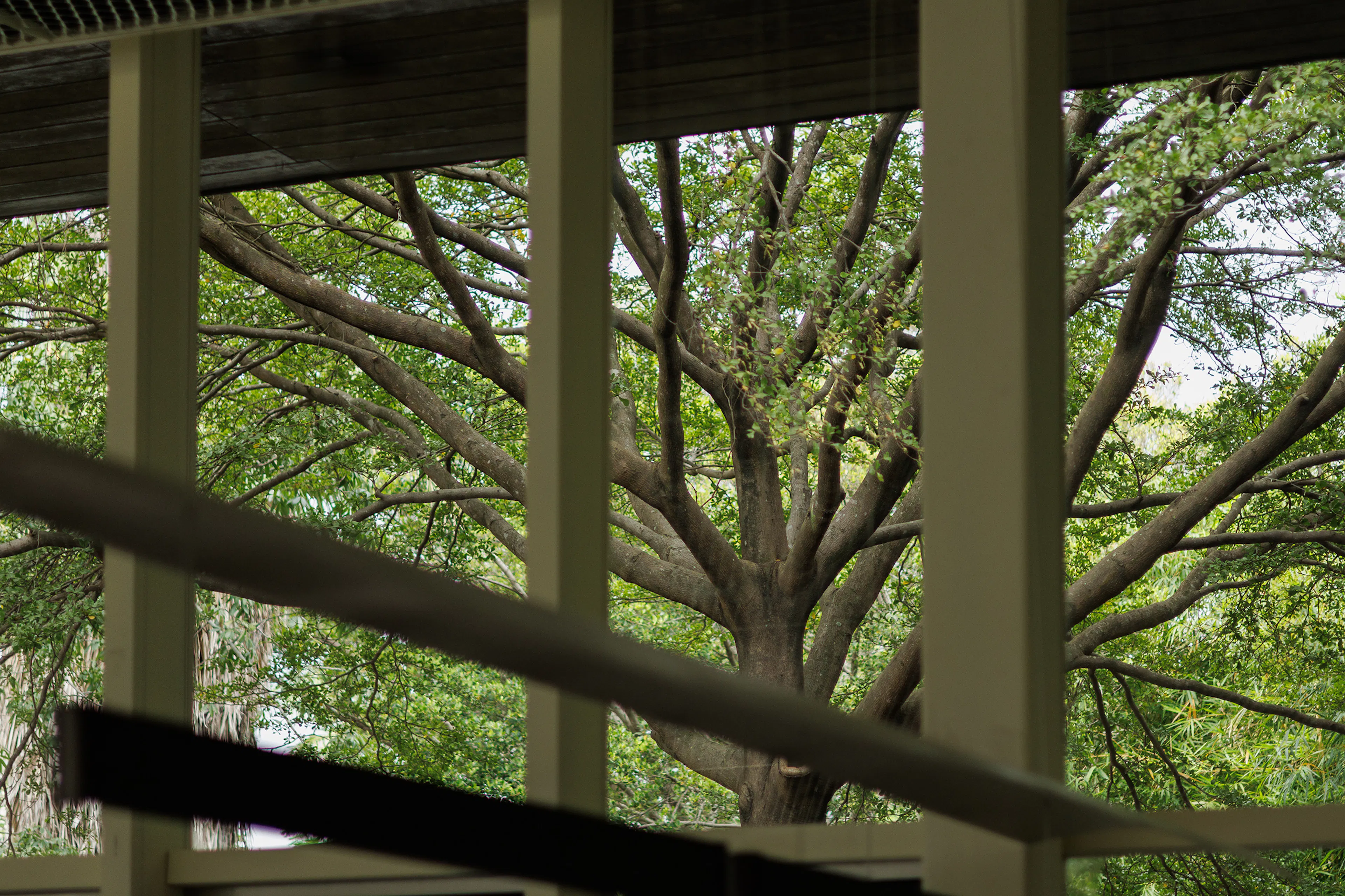 BASAO Bailuzhou — 22