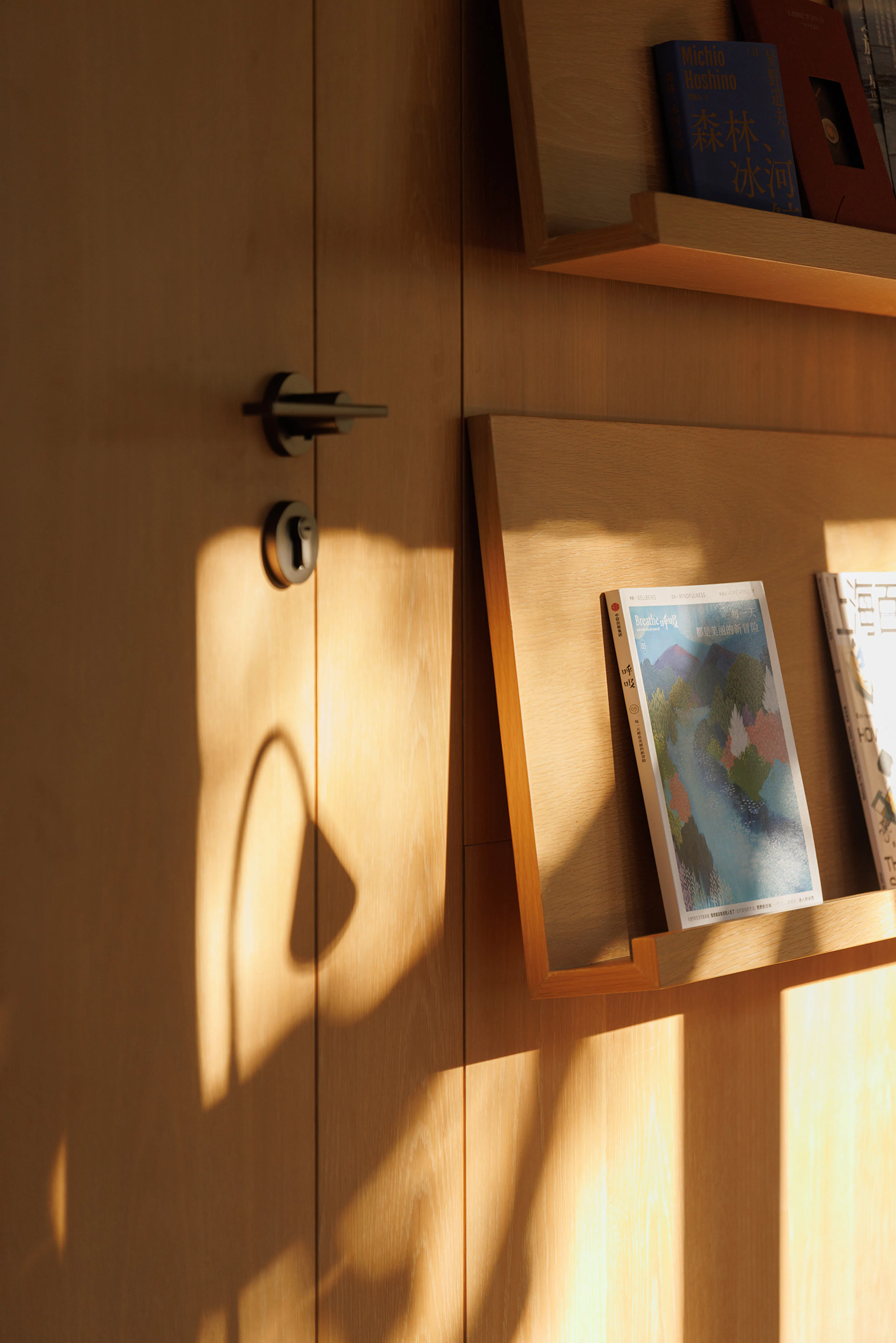 BASAO Bailuzhou — 45