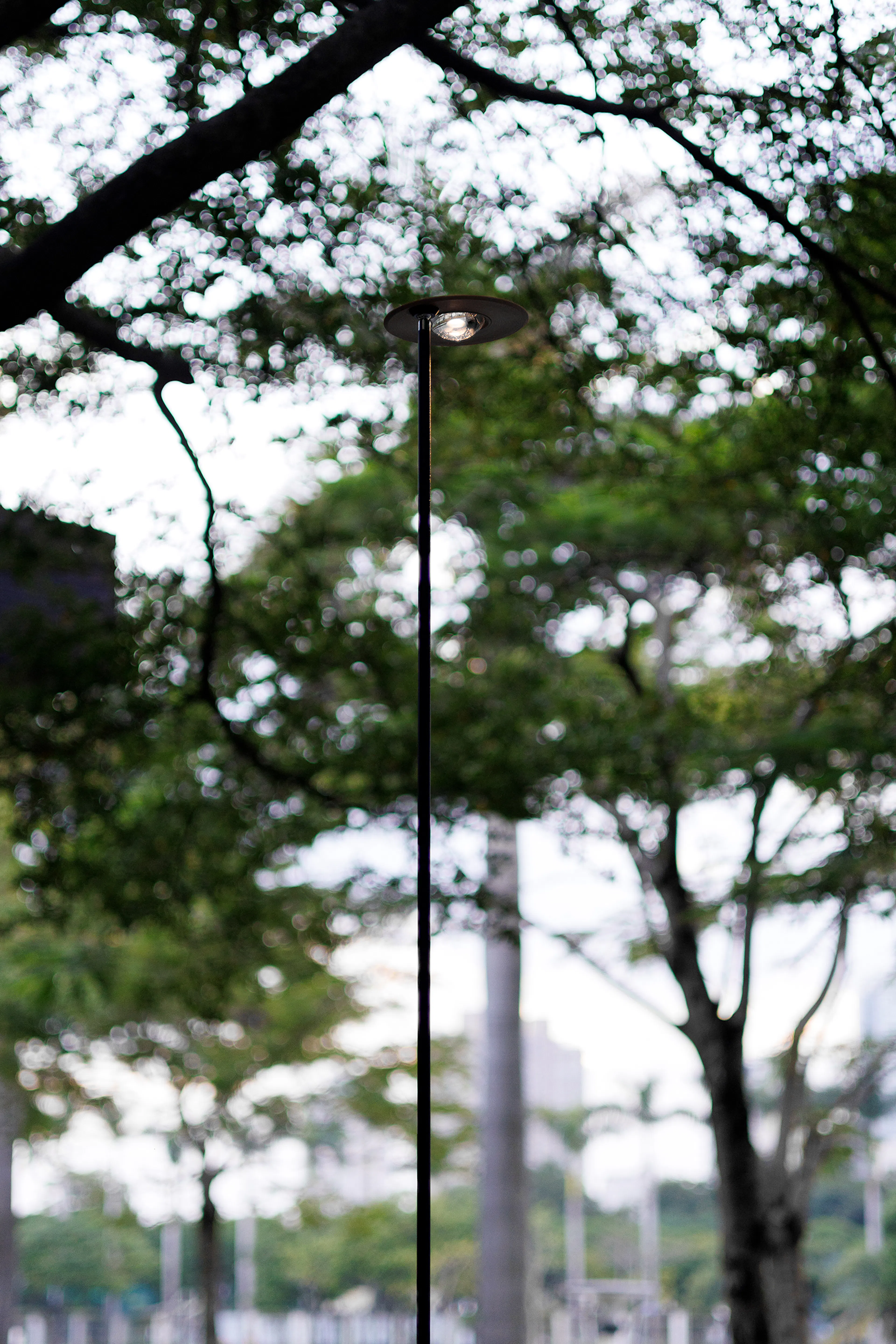 BASAO Bailuzhou — 70