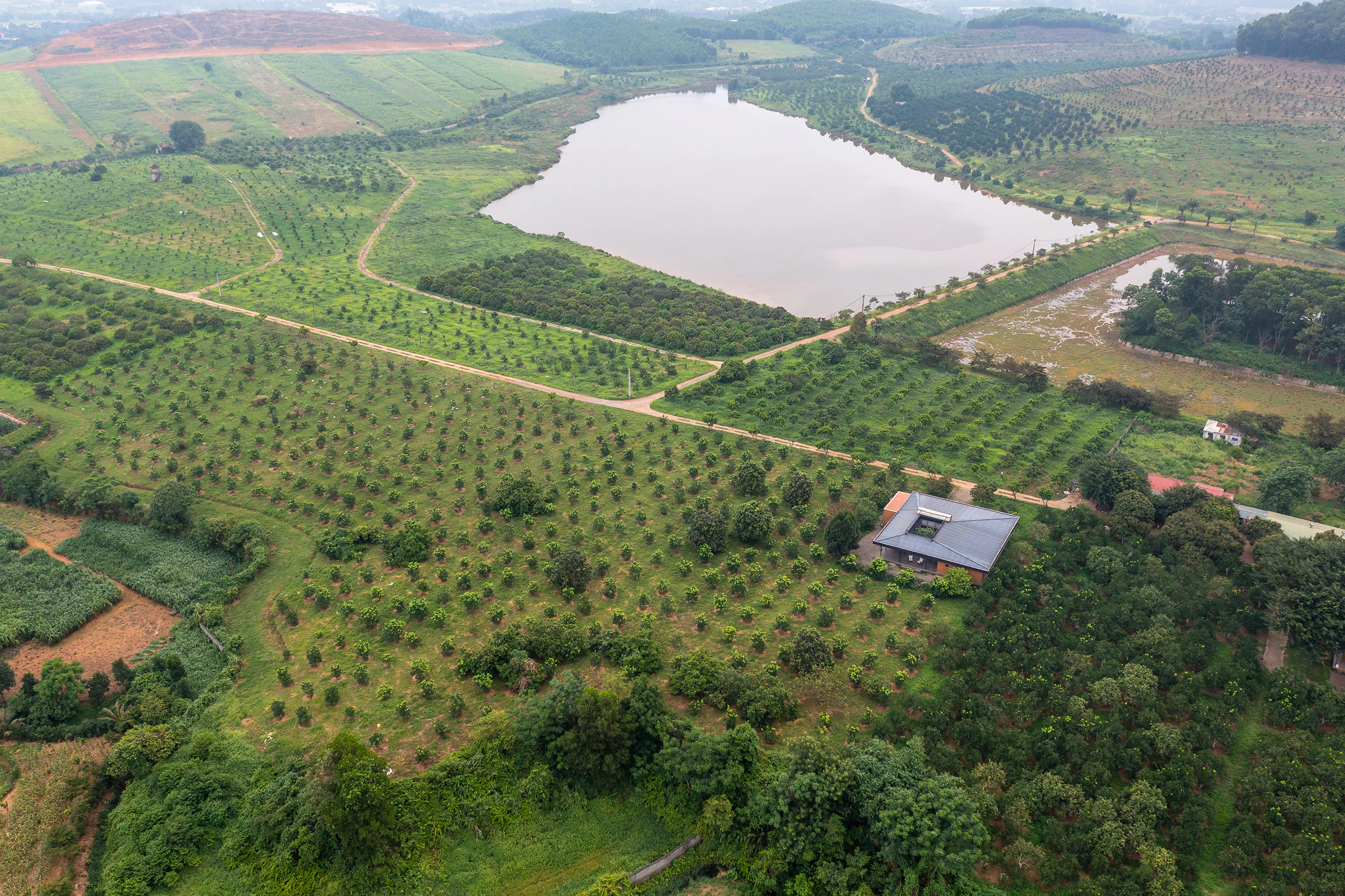 Quin Pavilion — 42