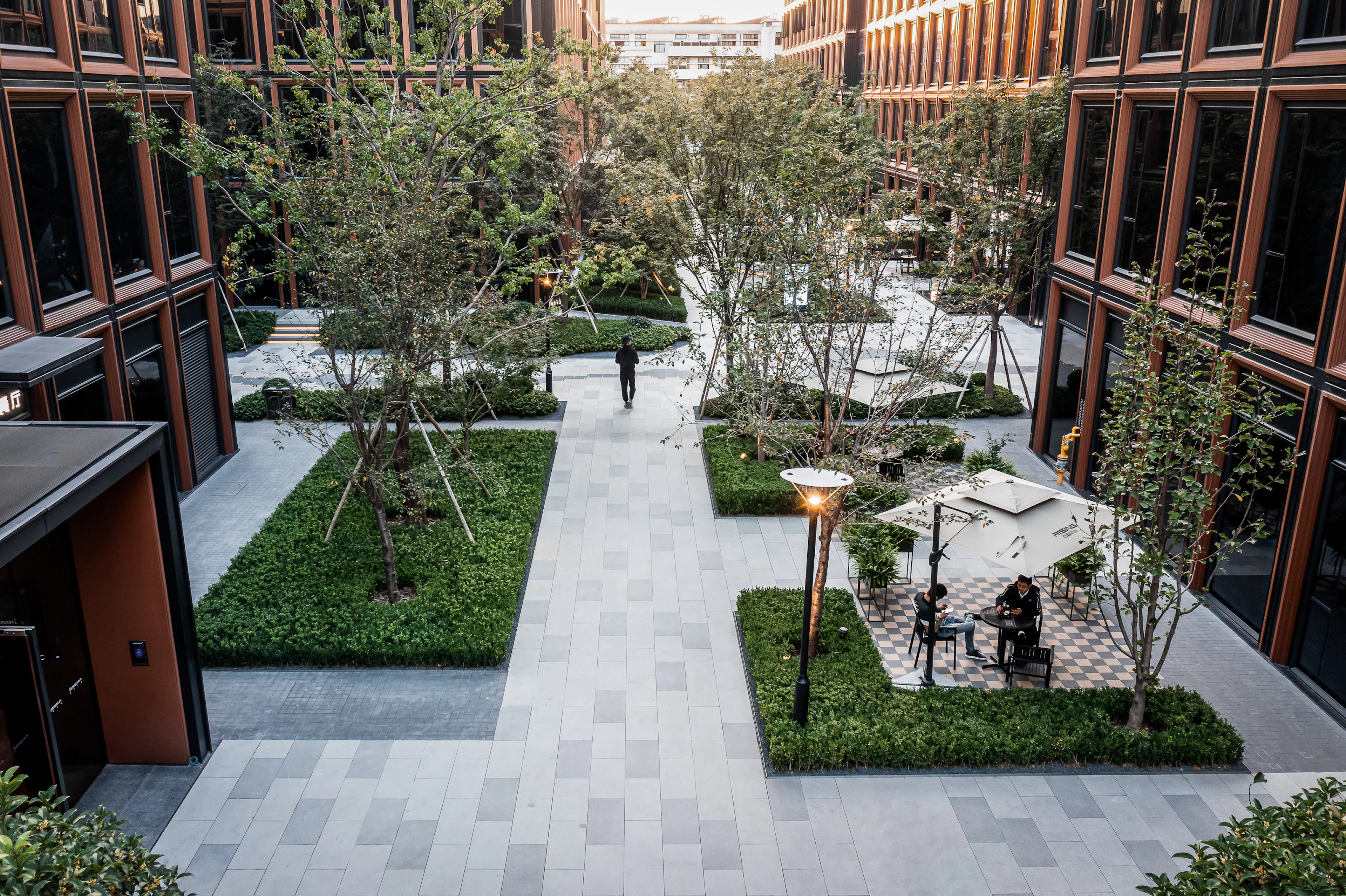 RISING Center: A complex interweaving with elegant and the wetlands context — 1