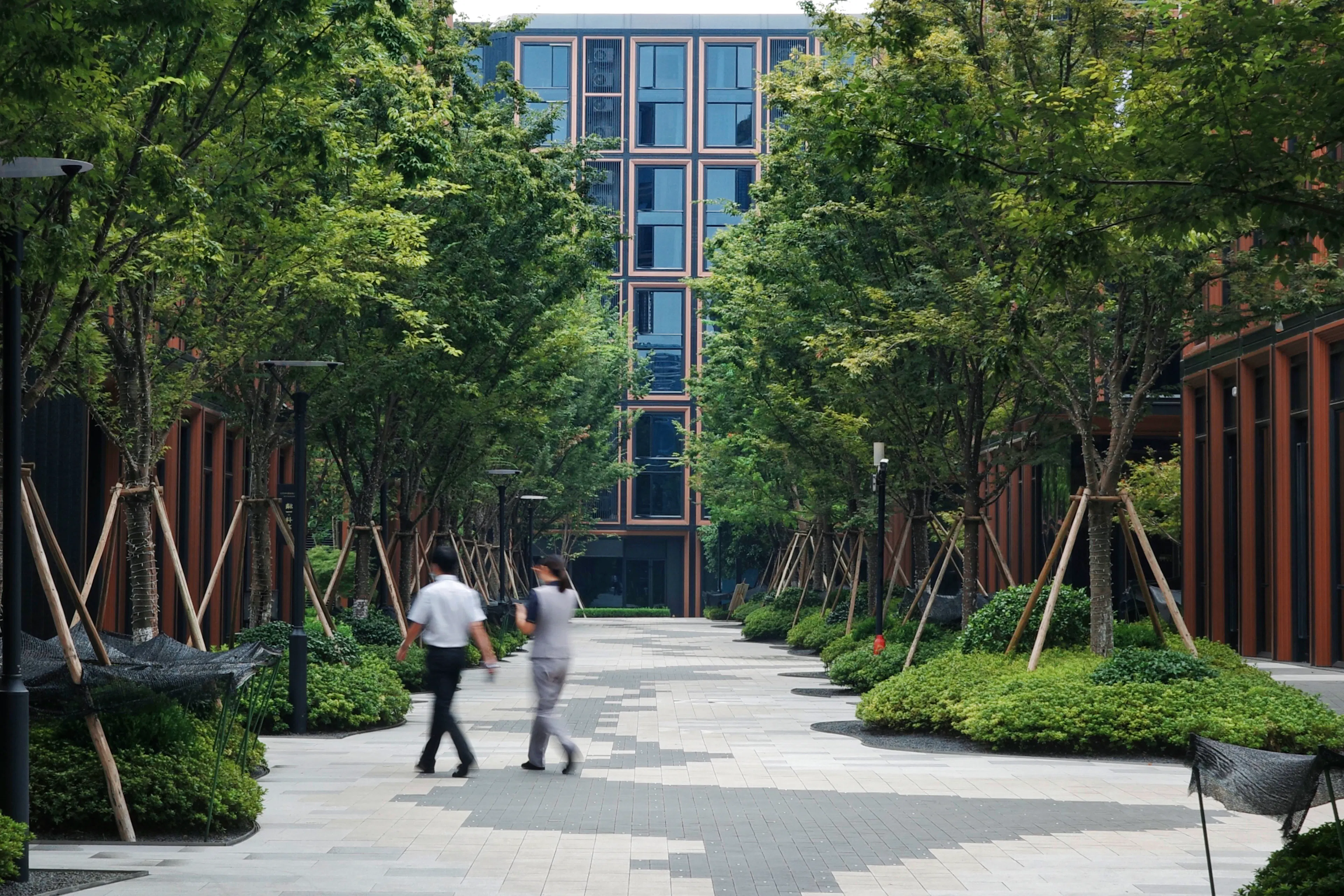 RISING Center: A complex interweaving with elegant and the wetlands context — 30