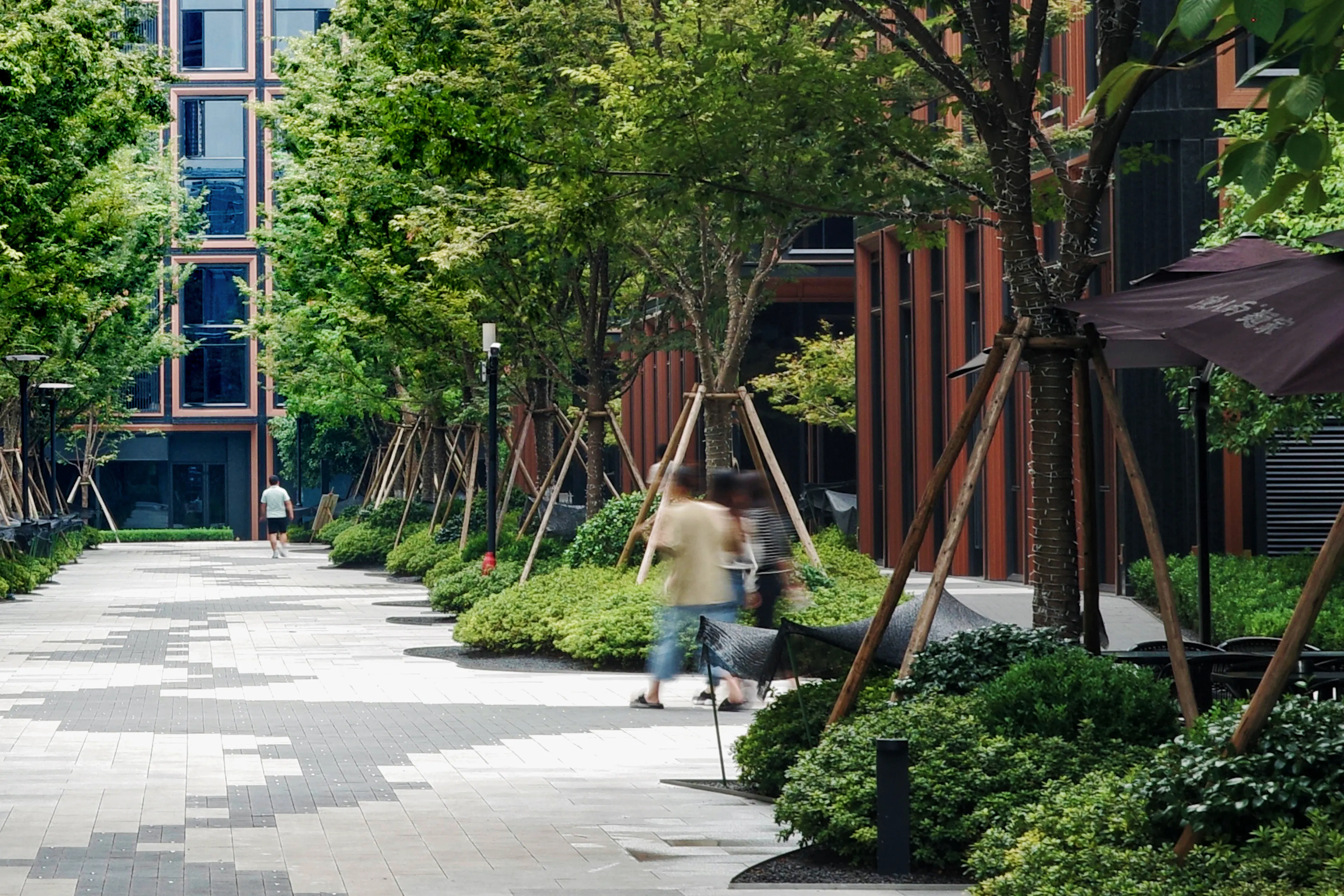 RISING Center: A complex interweaving with elegant and the wetlands context — 31