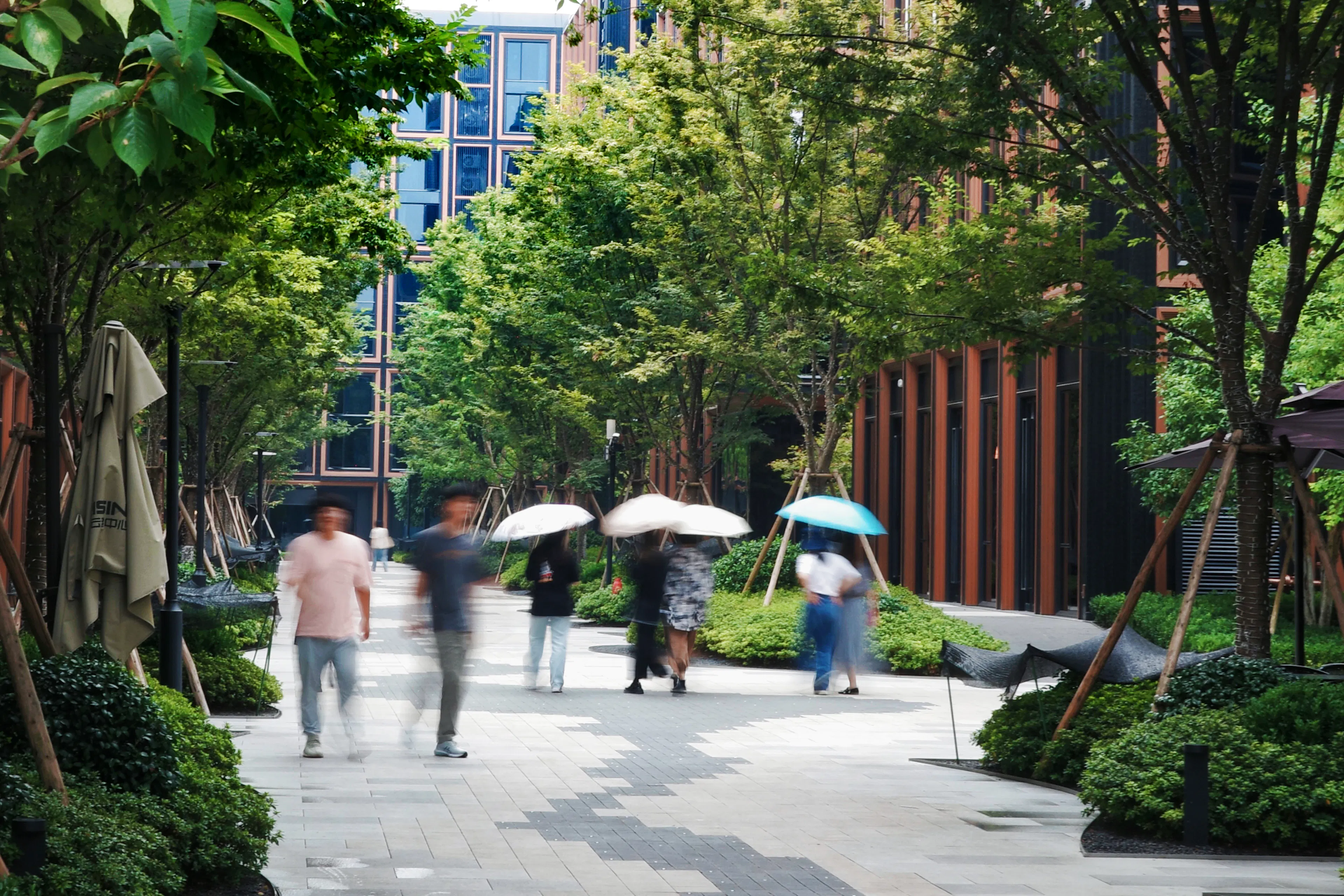 RISING Center: A complex interweaving with elegant and the wetlands context — 32