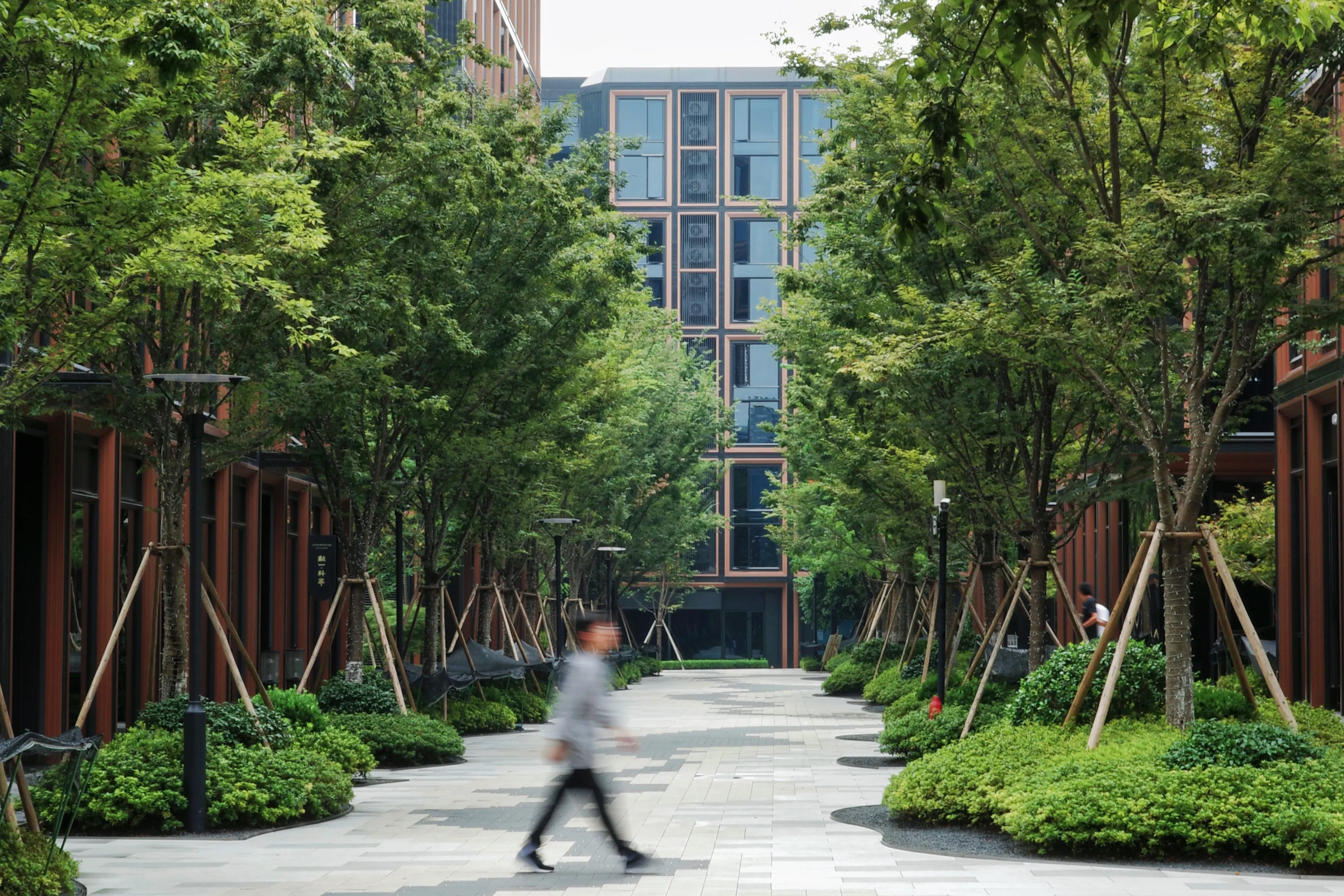 RISING Center: A complex interweaving with elegant and the wetlands context — 33