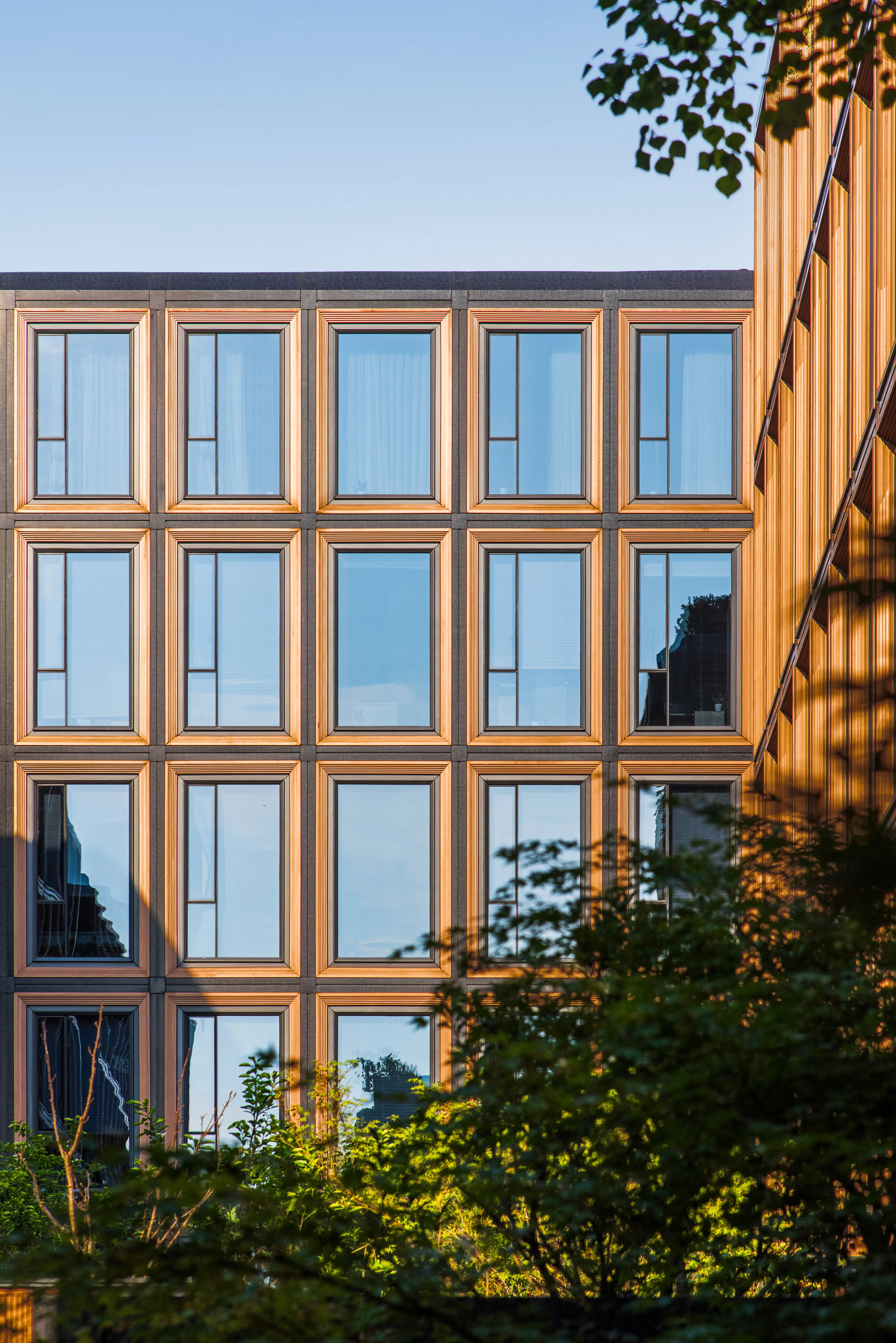 RISING Center: A complex interweaving with elegant and the wetlands context — 16