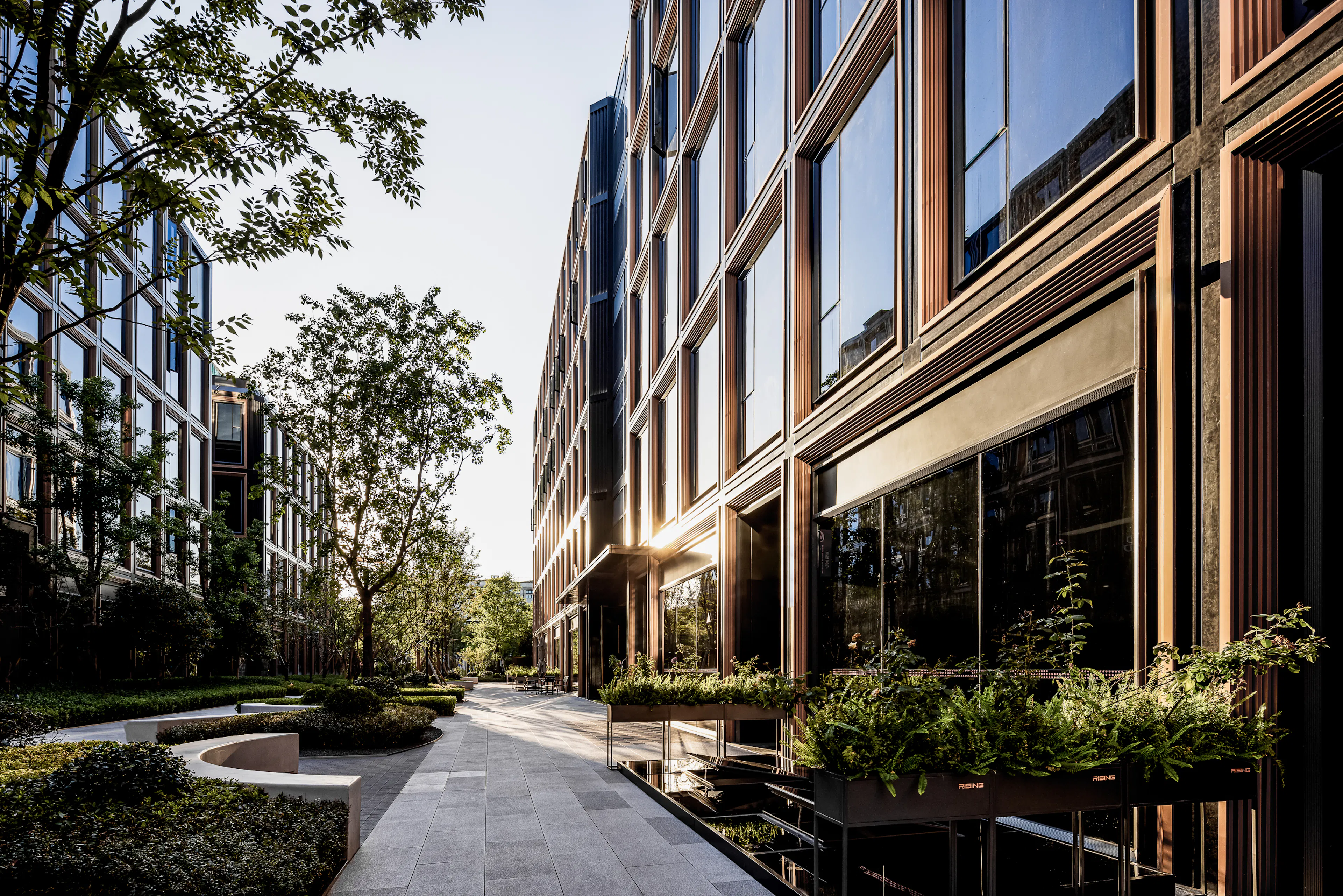 RISING Center: A complex interweaving with elegant and the wetlands context — 2