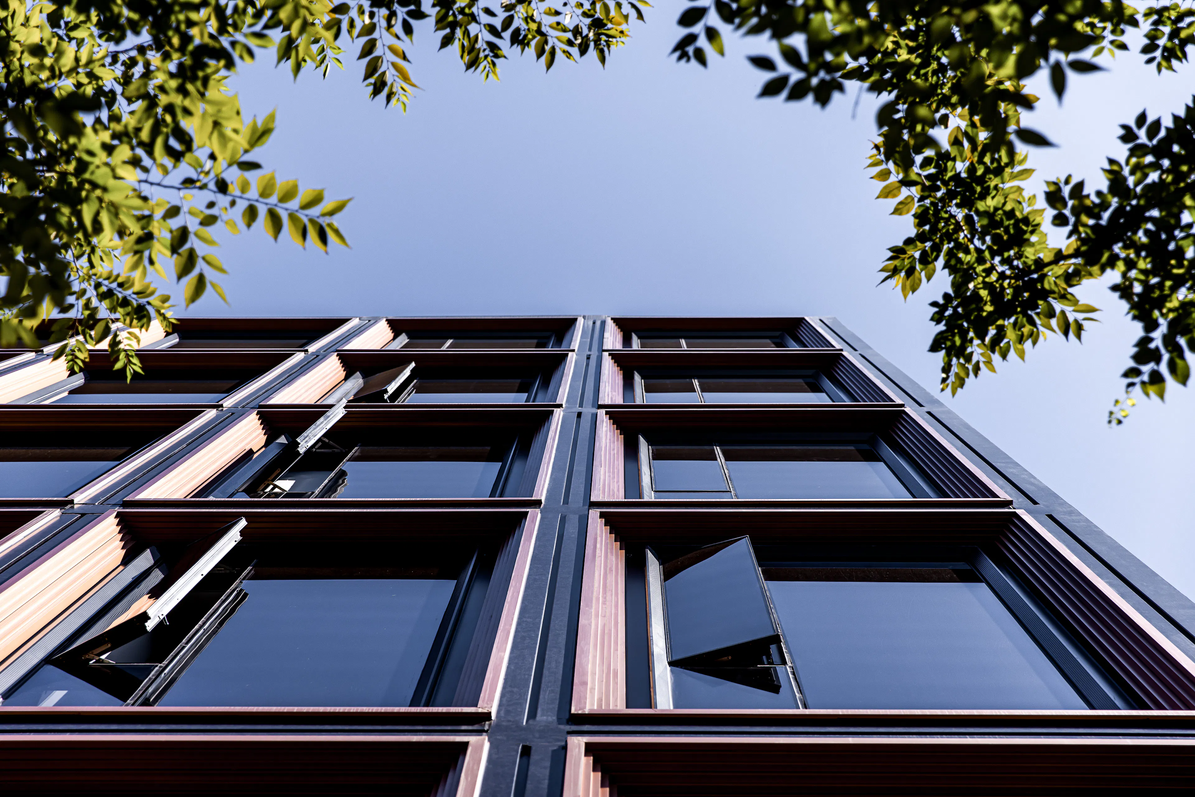 RISING Center: A complex interweaving with elegant and the wetlands context — 22