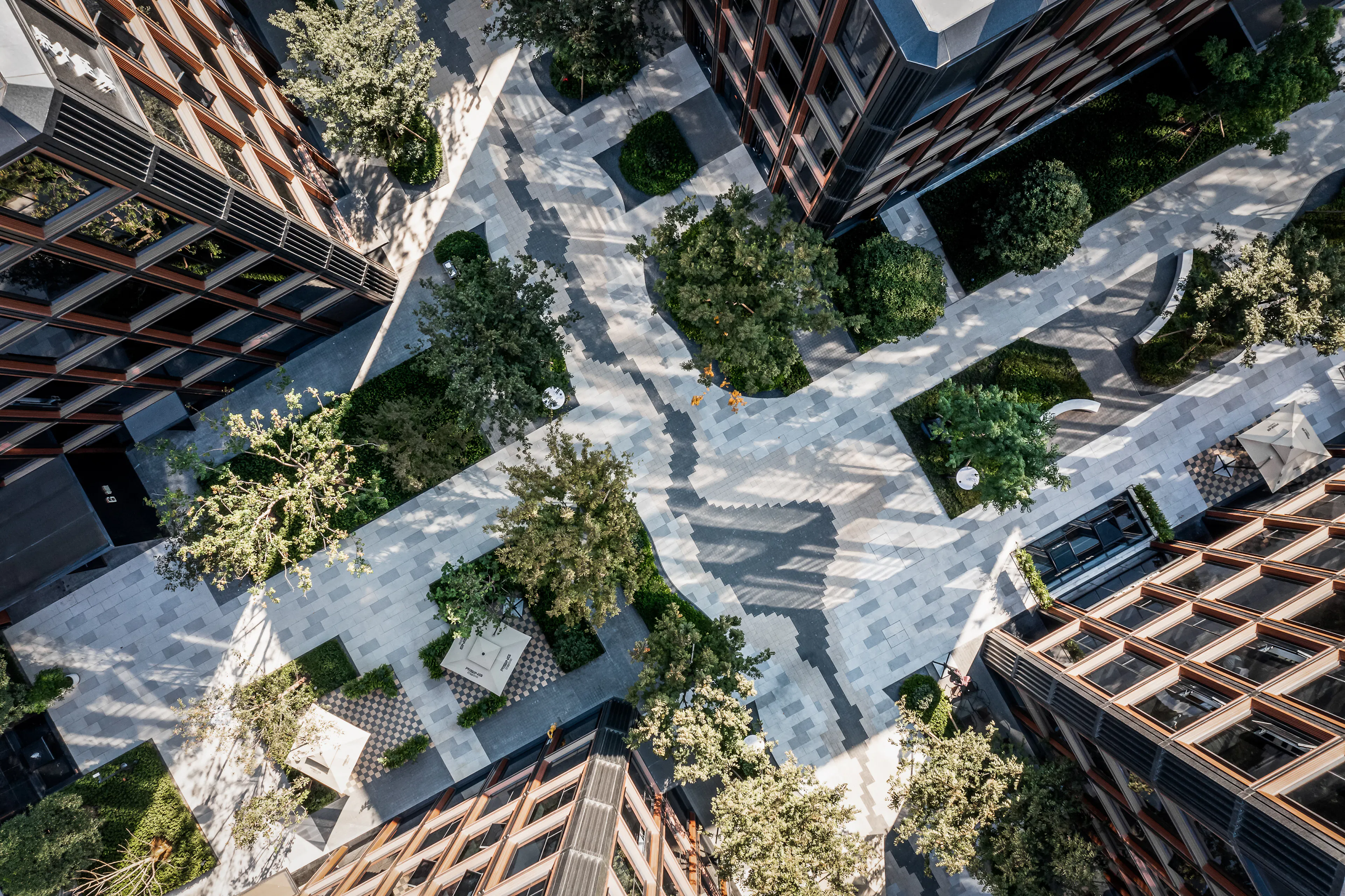 RISING Center: A complex interweaving with elegant and the wetlands context