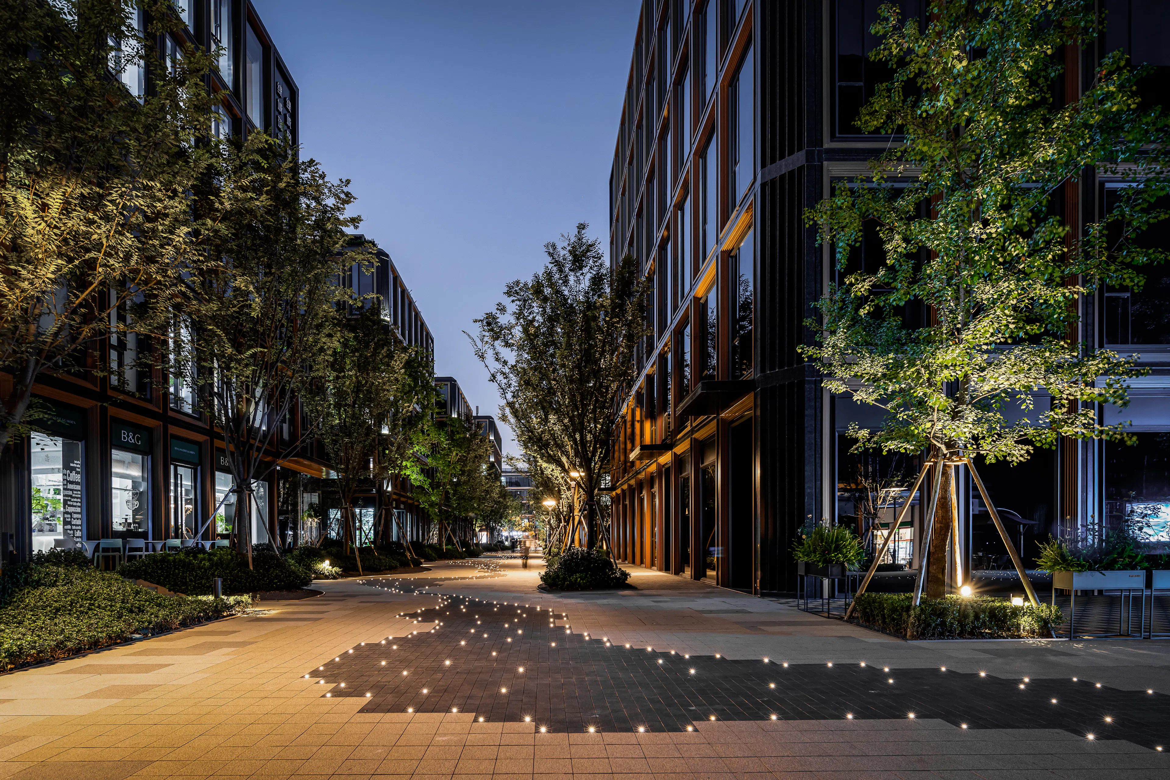 RISING Center: A complex interweaving with elegant and the wetlands context — 13