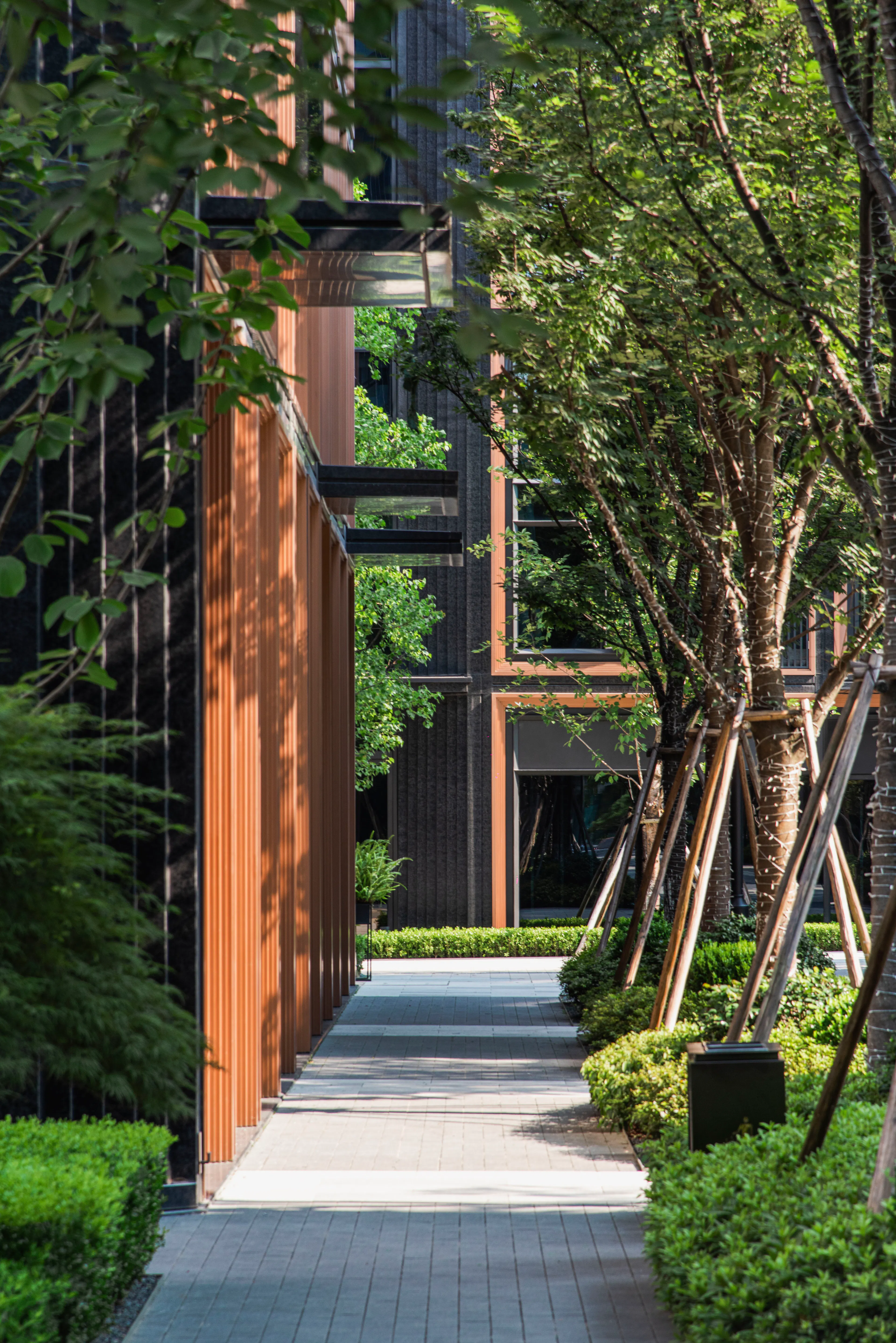 RISING Center: A complex interweaving with elegant and the wetlands context — 24