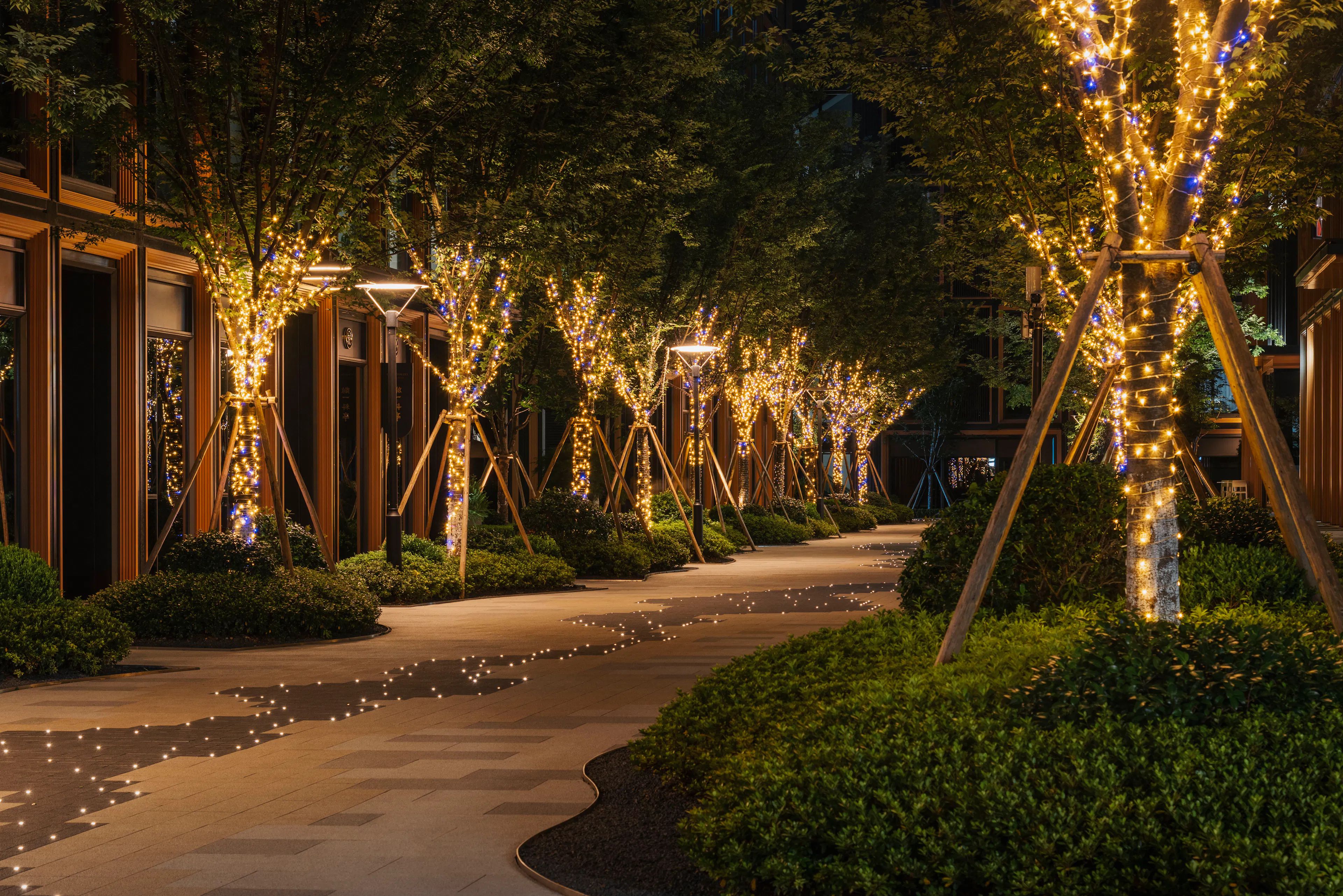 RISING Center: A complex interweaving with elegant and the wetlands context — 14